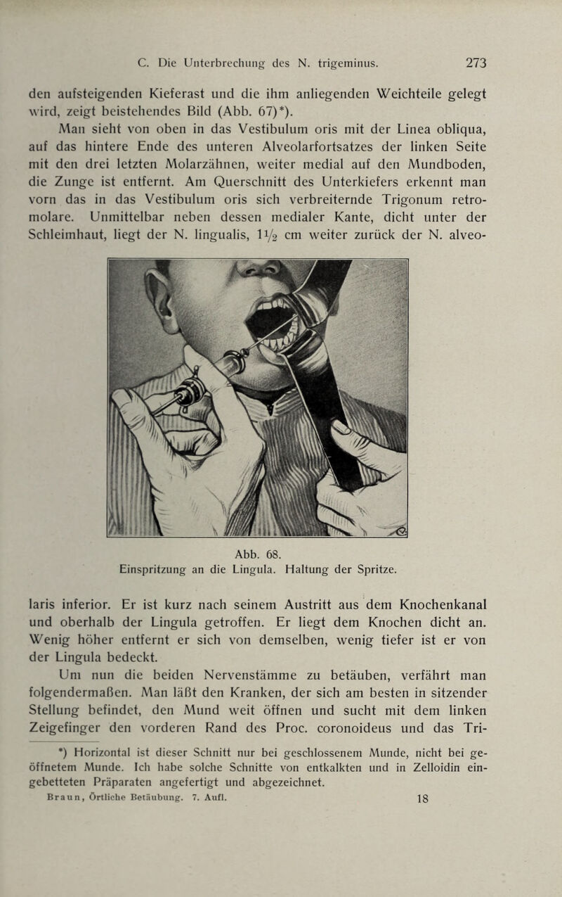 den aufsteigenden Kieferast und die ihm anliegenden Weichteile gelegt wird, zeigt beistehendes Bild (Abb. 67)*). Man sieht von oben in das Vestibulum oris mit der Linea obliqua, auf das hintere Ende des unteren Alveolarfortsatzes der linken Seite mit den drei letzten Molarzähnen, weiter medial auf den Mundboden, die Zunge ist entfernt. Am Querschnitt des Unterkiefers erkennt man vorn das in das Vestibulum oris sich verbreiternde Trigonum retro- molare. Unmittelbar neben dessen medialer Kante, dicht unter der Schleimhaut, liegt der N. lingualis, 11/2 cm weiter zurück der N. alveo- Abb. 68. Einspritzung an die Lingula. Haltung der Spritze. laris inferior. Er ist kurz nach seinem Austritt aus dem Knochenkanal und oberhalb der Lingula getroffen. Er liegt dem Knochen dicht an. Wenig höher entfernt er sich von demselben, wenig tiefer ist er von der Lingula bedeckt. Um nun die beiden Nervenstämme zu betäuben, verfährt man folgendermaßen. Man läßt den Kranken, der sich am besten in sitzender Stellung befindet, den Mund weit öffnen und sucht mit dem linken Zeigefinger den vorderen Rand des Proc. coronoideus und das Tri- *) Horizontal ist dieser Schnitt nur bei geschlossenem Munde, nicht bei ge¬ öffnetem Munde. Ich habe solche Schnitte von entkalkten und in Zelloidin ein¬ gebetteten Präparaten angefertigt und abgezeichnet. Braun, Örtliche Betäubung. 7. Aufl. 18