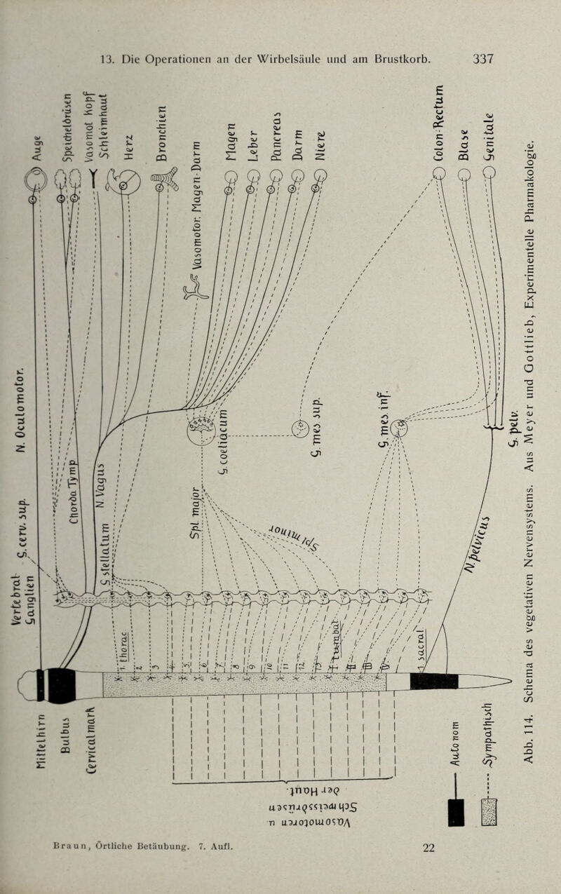 Vertebral g ceTU 5Up N. Oculomotor. Canalien 13. Die Operationen an der Wirbelsäule und am Brustkorb. 337