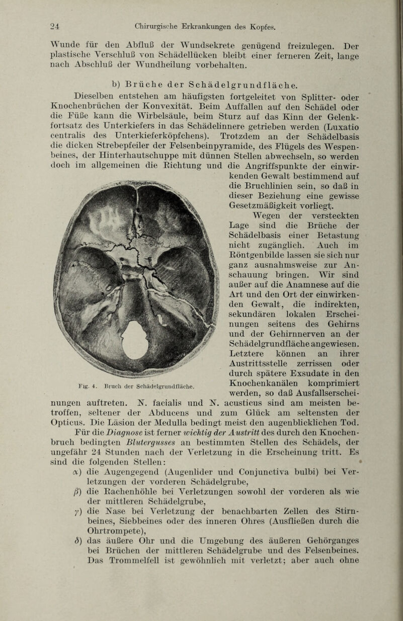 W unde für den Abfluß der Wundsekrete genügend freizulegen. Der plastische Verschluß von Schädellücken bleibt einer ferneren Zeit, lange nach Abschluß der Wundheilung Vorbehalten. b) Brüche der Schädelgrundfläche. Dieselben entstehen am häufigsten fortgeleitet von Splitter- oder Knochenbrüchen der Konvexität. Beim Auffallen auf den Schädel oder die Füße kann die Wirbelsäule, beim Sturz auf das Kinn der Gelenk¬ fortsatz des Unterkiefers in das Schädelinnere getrieben werden (Luxatio centralis des Unterkieferköpfchens). Trotzdem an der Schädelbasis die dicken Strebepfeiler der Felsenbeinpyramide, des Flügels des Wespen¬ beines, der Hinterhautschuppe mit dünnen Stellen abwechseln, so werden doch im allgemeinen die Richtung und die Angriffspunkte der einwir¬ kenden Gewalt bestimmend auf die Brucklinien sein, so daß in dieser Beziehung eine gewisse Gesetzmäßigkeit vorhegt. Wegen der versteckten Lage sind die Brüche der Schädelbasis einer Betastung nicht zugänglich. Auch im Röntgenbilde lassen sie sich nur ganz ausnahmsweise zur An¬ schauung bringen. Wir sind außer auf die Anamnese auf die Art und den Ort der einwirken- den Gewalt, die indirekten, sekundären lokalen Erschei¬ nungen seitens des Gehirns und der Gehirnnerven an der Schädelgrundfläche angewiesen. Letztere können an ihrer Austrittsstelle zerrissen oder durch spätere Exsudate in den Knochenkanälen komprimiert werden, so daß Ausfallserschei¬ nungen auftreten. N. facialis und N. acusticus sind am meisten be¬ troffen, seltener der Abducens und zum Glück am seltensten der Opticus. Die Läsion der Medulla bedingt meist den augenblicklichen Tod. Für die Diagnose ist ferner wichtig der Austritt des durch den Knochen¬ bruch bedingten Blutergusses an bestimmten Stellen des Schädels, der ungefähr 24 Stunden nach der Verletzung in die Erscheinung tritt. Es sind die folgenden Stellen: cx) die Augengegend (Augenlider und Conjunctiva bulbi) bei Ver¬ letzungen der vorderen Schädelgrube, ß) die Rachenhöhle bei Verletzungen sowohl der vorderen als wie der mittleren Schädelgrube, y) die Nase bei Verletzung der benachbarten Zellen des Stirn¬ beines, Siebbeines oder des inneren Ohres (Ausfließen durch die Ohrtrompete), d) das äußere Ohr und die Umgebung des äußeren Gehörganges bei Brüchen der mittleren Schädelgrübe und des Felsenbeines. Das Trommelfell ist gewöhnlich mit verletzt; aber auch ohne Fig. 4. Bruch der Schädelgrundfläche.