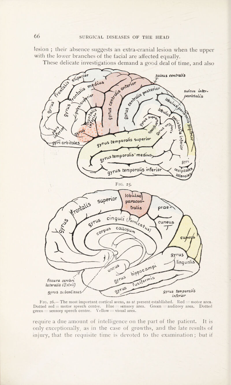 lesion ; their absence suggests an extra-cranial lesion when the upper with the lower branches of the facial are affected equally. These delicate investigations demand a good deal of time, and also Fig. 26.—The most important cortical areas, as at present established. Red — motor area, Dotted red = motor speech centre. Blue = sensory area. Green - auditory area. Dotted green sensory speech centre. Yellow — visual area. require a due amount of intelligence on the part of the patient. It is only exceptionally, as in the case of growths, and the late results of injury, that the requisite time is devoted to the examination; but if