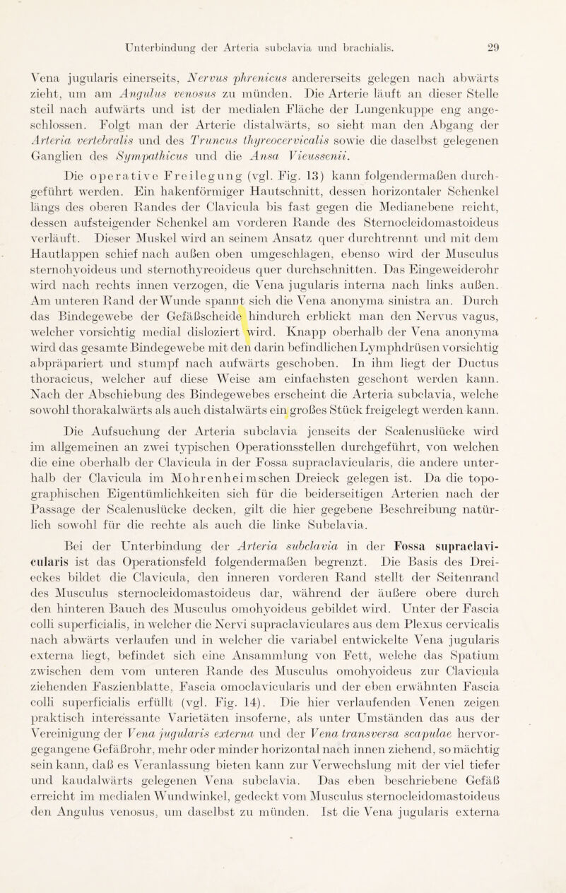 Vena jugularis einerseits, Nervus phrenicus andererseits gelegen nach abwärts zieht, um am Angulus venosus zu münden. Die Arterie läuft an dieser Stelle steil nach aufwärts und ist der medialen Fläche der Lungenkuppe eng ange¬ schlossen. Folgt man der Arterie distalwärts, so sieht man den Abgang der Arteria vertebralis und des Truncus thyreocervicalis sowie die daselbst gelegenen Ganglien des Sympathicus und die Ansa Vieussenii. Die operative Freilegung (vgl. Fig. 13) kann folgendermaßen durch¬ geführt werden. Ein hakenförmiger Hautschnitt, dessen horizontaler Schenkel längs des oberen Randes der Clavicula bis fast gegen die Medianebene reicht, dessen aufsteigender Schenkel am vorderen Rande des Sternocleidomastoideus verläuft. Dieser Muskel wird an seinem Ansatz quer durchtrennt und mit dem Hautlappen schief nach außen oben umgeschlagen, ebenso wird der Musculus sternohyoideus und sternothyreoideus quer durchschnitten. Das Eingeweiderohr wird nach rechts innen verzogen, die Vena jugularis interna nach links außen. Am unteren Rand der Wunde spannt sich die Vena anonyma sinistra an. Durch das Bindegewebe der Gefäßscheide hindurch erblickt man den Nervus vagus, welcher vorsichtig medial disloziert wird. Knapp oberhalb der Vena anonyma wird das gesamte Bindegewebe mit den darin befindlichen Lymphdrüsen vorsichtig abpräpariert und stumpf nach aufwärts geschoben. In ihm liegt der Ductus thoracicus, welcher auf diese Weise am einfachsten geschont werden kann. Nach der Abschiebung des Bindegewebes erscheint die Arteria subclavia, welche sowohl thorakalwärts als auch distalwärts ein großes Stück freigelegt werden kann. Die Aufsuchung der Arteria subclavia jenseits der Scalenuslücke wird im allgemeinen an zwei typischen Operationsstellen durchgeführt, von welchen die eine oberhalb der Clavicula in der Fossa supraclavicularis, die andere unter¬ halb der Clavicula im Mohrenheimschen Dreieck gelegen ist. Da die topo¬ graphischen Eigentümlichkeiten sich für die beiderseitigen Arterien nach der Passage der Scalenuslücke decken, gilt die hier gegebene Beschreibung natür¬ lich sowohl für die rechte als auch die linke Subclavia. Bei der Unterbindung der Arteria subclavia in der Fossa supraclavi¬ cularis ist das Operationsfeld folgendermaßen begrenzt. Die Basis des Drei¬ eckes bildet die Clavicula, den inneren vorderen Rand stellt der Seitenrand des Musculus sternocleidomastoideus dar, während der äußere obere durch den hinteren Bauch des Musculus omohyoideus gebildet wird. Unter der Fascia colli superficialis, in welcher die Nervi supraclaviculares aus dem Plexus cervicalis nach abwärts verlaufen und in welcher die variabel entwickelte Vena jugularis externa liegt, befindet sich eine Ansammlung von Fett, welche das Spatium zwischen dem vom unteren Rande des Musculus omohyoideus zur Clavicula ziehenden Faszienblatte, Fascia omoclavicularis und der eben erwähnten Fascia colli superficialis erfüllt (vgl. Fig. 14). Die hier verlaufenden Venen zeigen praktisch interessante Varietäten insoferne, als unter Umständen das aus der Vereinigung der Vena jugularis externa und der Vena transversa scapulae hervor¬ gegangene Gefäßrohr, mehr oder minder horizontal nach innen ziehend, so mächtig sein kann, daß es Veranlassung bieten kann zur Verwechslung mit der viel tiefer und kaudalwärts gelegenen Vena subclavia. Das eben beschriebene Gefäß erreicht im medialen Wundwinkel, gedeckt vom Musculus sternocleidomastoideus den Angulus venosus, um daselbst zu münden. Ist die Vena jugularis externa