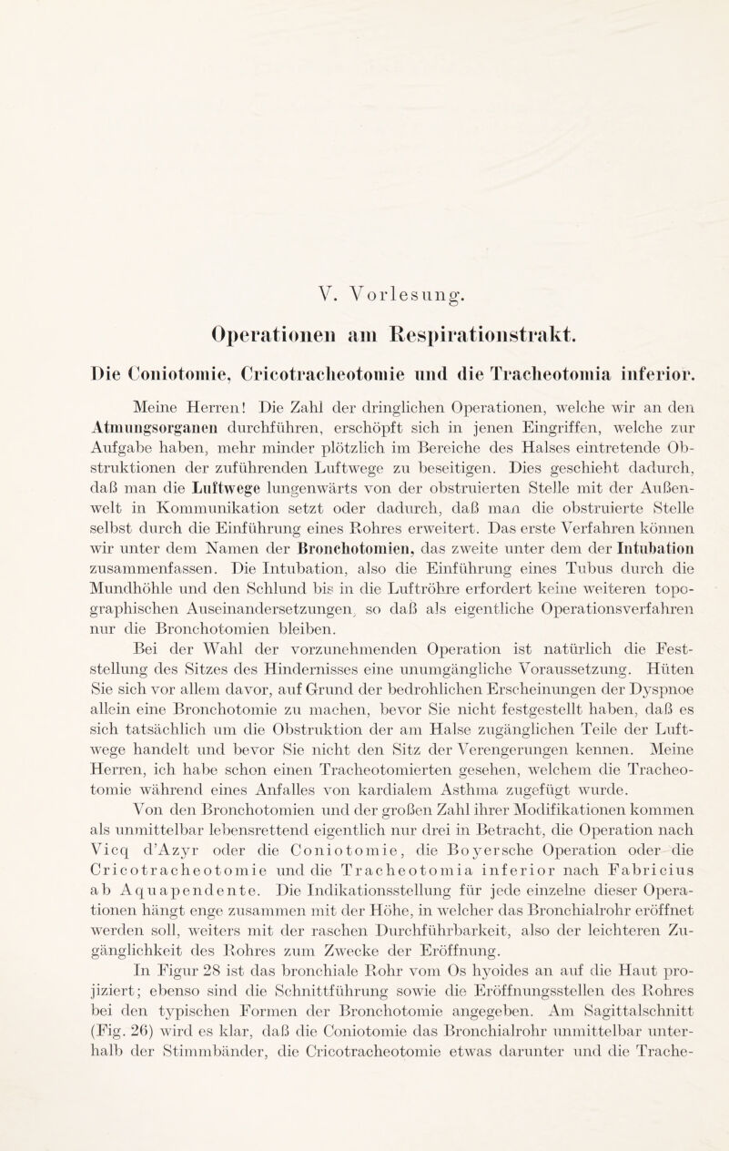 V. Vories ring. Operationen am Respirationstrakt. Die Coniotomie, Cricotraclieotomie und die Tracheotomia inferior. Meine Herren! Die Zahl der dringlichen Operationen, welche wir an den Atmimgsorganen durchführen, erschöpft sich in jenen Eingriffen, welche zur Aufgabe haben, mehr minder plötzlich im Bereiche des Halses eintretende Ob¬ struktionen der zuführenden Luftwege zu beseitigen. Dies geschieht dadurch, daß man die Luftwege lungenwärts von der obstruierten Stelle mit der Außen¬ welt in Kommunikation setzt oder dadurch, daß man die obstruierte Stelle selbst durch die Einführung eines Bohres erweitert. Das erste Verfahren können wir unter dem Namen der Bronchotomien, das zweite unter dem der Intubation zusammenfassen. Die Intubation, also die Einführung eines Tubus durch die Mundhöhle und den Schlund bis in die Luftröhre erfordert keine weiteren topo¬ graphischen Auseinandersetzungen so daß als eigentliche Operationsverfahren nur die Bronchotomien bleiben. Bei der Wahl der vorzunehmenden Operation ist natürlich die Fest¬ stellung des Sitzes des Hindernisses eine unumgängliche Voraussetzung. Hüten Sie sich vor allem davor, auf Grund der bedrohlichen Erscheinungen der Dyspnoe allein eine Bronchotomie zu machen, bevor Sie nicht festgestellt haben, daß es sich tatsächlich um die Obstruktion der am Halse zugänglichen Teile der Luft¬ wege handelt und bevor Sie nicht den Sitz der Verengerungen kennen. Meine Herren, ich habe schon einen Tracheotomierten gesehen, welchem die Tracheo¬ tomie während eines Anfalles von kardialem Asthma zugefügt wurde. Von den Bronchotomien und der großen Zahl ihrer Modifikationen kommen als unmittelbar lebensrettend eigentlich nur drei in Betracht, die Operation nach Vicq cl’Azyr oder die Coniotomie, die Boyersehe Operation oder die Cricotraclieotomie und die Tracheotomia inferior nach Eabricius ab Aquapendente. Die Indikationsstellung für jede einzelne dieser Opera¬ tionen hängt enge zusammen mit der Höhe, in welcher das Bronchialrohr eröffnet werden soll, weiters mit der raschen Durchführbarkeit, also der leichteren Zu¬ gänglichkeit des Bohres zum Zwecke der Eröffnung. In Figur 28 ist das bronchiale Bohr vom Os hyoides an auf die Haut pro¬ jiziert; ebenso sind die Schnittführung sowie die Eröffnungsstellen des Bohres bei den typischen Formen der Bronchotomie angegeben. Am Sagittalschnitt (Eig. 26) wird es klar, daß die Coniotomie das Bronchialrohr unmittelbar unter¬ halb der Stimmbänder, die Cricotraclieotomie etwas darunter und die Trache-