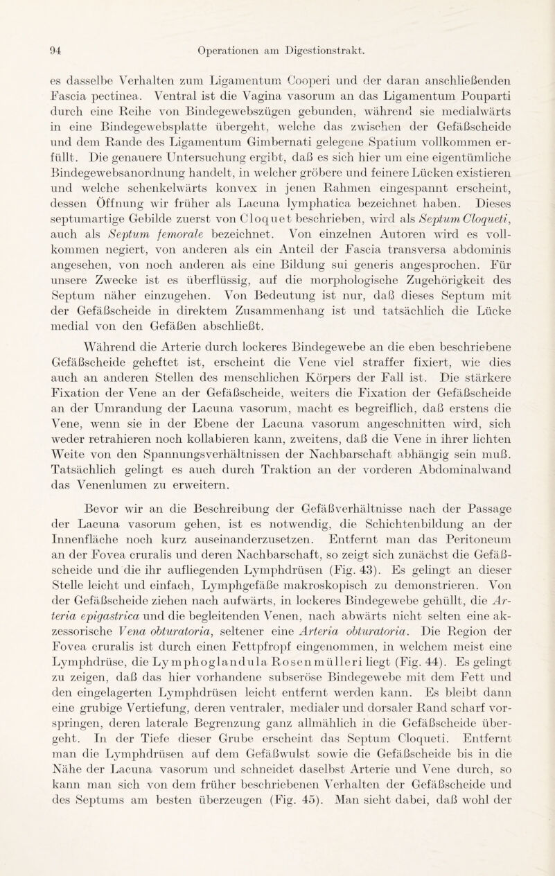 es dasselbe Verhalten zum Ligamentum Cooperi und der daran anschließenden Fascia pectinea. Ventral ist die Vagina vasorum an das Ligamentum Pouparti durch eine Reihe von Bindegewebszügen gebunden, während sie medialwärts in eine Bindegewebsplatte übergeht, welche das zwischen der Gefäßscheide und dem Rande des Ligamentum Gimbernati gelegene Spatium vollkommen er¬ füllt. Die genauere Untersuchung ergibt, daß es sich hier um eine eigentümliche Bindegewebsanordnung handelt, in welcher gröbere und feinere Lücken existieren und welche schenkelwärts konvex in jenen Rahmen eingespannt erscheint, dessen Öffnung wir früher als Lacuna lymphatica bezeichnet haben. Dieses septumartige Gebilde zuerst von Cloquet beschrieben, wird als Septum Cloqueti, auch als Septum jemorale bezeichnet. Von einzelnen Autoren wird es voll¬ kommen negiert, von anderen als ein Anteil der Fascia transversa abdominis angesehen, von noch anderen als eine Bildung sui generis angesprochen. Für unsere Zwecke ist es überflüssig, auf die morphologische Zugehörigkeit des Septum näher einzugehen. Von Bedeutung ist nur, daß dieses Septum mit der Gefäßscheide in direktem Zusammenhang ist und tatsächlich die Lücke medial von den Gefäßen abschließt. Während die Arterie durch lockeres Bindegewebe an die eben beschriebene Gefäßscheide geheftet ist, erscheint die Vene viel straffer fixiert, wie dies auch an anderen Stellen des menschlichen Körpers der Fall ist. Die stärkere Fixation der Vene an der Gefäßscheide, weiters die Fixation der Gefäßscheide an der Umrandung der Lacuna vasorum, macht es begreiflich, daß erstens die Vene, wenn sie in der Ebene der Lacuna vasorum angeschnitten wird, sich weder retrahieren noch kollabieren kann, zweitens, daß die Vene in ihrer lichten Weite von den Spannungsverhältnissen der Nachbarschaft abhängig sein muß. Tatsächlich gelingt es auch durch Traktion an der vorderen Abdominalwand das Venenlumen zu erweitern. Bevor wir an die Beschreibung der Gefäßverhältnisse nach der Passage der Lacuna vasorum gehen, ist es notwendig, die Schichtenbildung an der Innenfläche noch kurz auseinanderzusetzen. Entfernt man das Peritoneum an der Fovea cruralis und deren Nachbarschaft, so zeigt sich zunächst die Gefäß¬ scheide und die ihr aufliegenden Lymphdrüsen (Fig. 43). Es gelingt an dieser Stelle leicht und einfach, Lymphgefäße makroskopisch zu demonstrieren. Von der Gefäßscheide ziehen nach aufwärts, in lockeres Bindegewebe gehüllt, die Ar- teria epigastrica und die begleitenden Venen, nach abwärts nicht selten eine ak¬ zessorische Vena obturatoria, seltener eine Arteria obturatoria. Die Region der Fovea cruralis ist durch einen Fettpfropf eingenommen, in welchem meist eine Lymphdrüse, die Lymphoglandula Rosenmülleri liegt (Fig. 44). Es gelingt zu zeigen, daß das hier vorhandene subseröse Bindegewebe mit dem Fett und den eingelagerten Lymphdrüsen leicht entfernt werden kann. Es bleibt dann eine grubige Vertiefung, deren ventraler, medialer und dorsaler Rand scharf vor¬ springen, deren laterale Begrenzung ganz allmählich in die Gefäßscheide über¬ geht. In der Tiefe dieser Grube erscheint das Septum Cloqueti. Entfernt man die Lymphdrüsen auf dem Gefäßwulst sowie die Gefäßscheide bis in die Nähe der Lacuna vasorum und schneidet daselbst Arterie und Vene durch, so kann man sich von dem früher beschriebenen Verhalten der Gefäßscheide und des Septums am besten überzeugen (Fig. 45). Man sieht dabei, daß wohl der