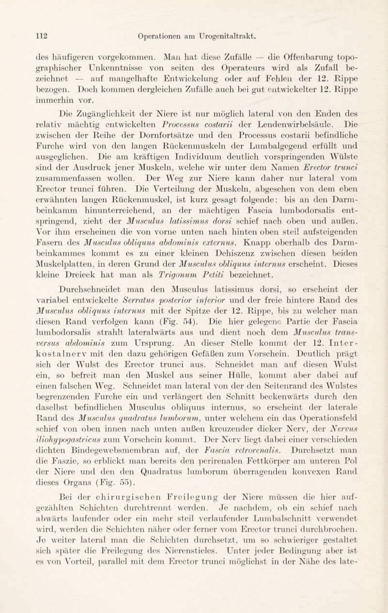 des häufigeren vorgekommen. Man hat diese Zufälle — die Offenbarung topo¬ graphischer Unkenntnisse von seiten des Operateurs wird als Zufall be¬ zeichnet — auf mangelhafte Entwickelung oder auf Fehlen der 12. Rippe bezogen. Doch kommen dergleichen Zufälle auch bei gut entwickelter 12. Rippe immerhin vor. Die Zugänglichkeit der Niere ist nur möglich lateral von den Enden des relativ mächtig entwickelten Processus costarii der Lendenwirbelsäule. Die zwischen der Reihe der Dornfortsätze und den Processus costarii befindliche Furche wird von den langen Rückenmuskeln der Lumbalgegend erfüllt und ausgeglichen. Die am kräftigen Individuum deutlich vorspringenden Wülste sind der Ausdruck jener Muskeln, welche wir unter dem Namen Erector trunci zusammenfassen wollen. Der Weg zur Niere kann daher nur lateral vom Erector trunci führen. Die Verteilung der Muskeln, abgesehen von dem eben erwähnten langen Rückenmuskel, ist kurz gesagt folgende: bis an den Darm- beinkamm hinunterreichend, an der mächtigen Fascia lumbodorsalis ent¬ springend, zieht der Musculus latissimus clorsi schief nach oben und außen. Vor ihm erscheinen die von vorne unten nach hinten oben steil auf steigenden Fasern des Musculus obliquus abdominis externus. Knapp oberhalb des Darm¬ beinkammes kommt es zu einer kleinen Dehiszenz zwischen diesen beiden Muskelplatten, in deren Grund der Musculus obliquus internus erscheint. Dieses kleine Dreieck hat man als Trigonum Petiti bezeichnet. Durchschneidet man den Musculus latissimus dorsi, so erscheint der variabel entwickelte Serratus posterior inferior und der freie hintere Rand des Musculus obliquus internus mit der Spitze der 12. Rippe, bis zu welcher man diesen Rand verfolgen kann (Fig. 54). Die hier gelegene Partie der Fascia lnmbodorsalis strahlt lateralwärts aus und dient noch dem Musculus trans- versus abdominis zum Ursprung. An dieser Stelle kommt der 12. Inter¬ kostalnerv mit den dazu gehörigen Gefäßen zum Vorschein. Deutlich prägt sich der Wulst des Erector trunci aus. Schneidet man auf diesen Wulst ein, so befreit man den Muskel aus seiner Hülle, kommt aber dabei auf einen falschen Weg. Schneidet man lateral von der den Seitenrand des Wulstes begrenzenden Furche ein und verlängert den Schnitt beckenwärts durch den daselbst befindlichen Musculus obliquus internus, so erscheint der laterale Rand des Musculus quadratus lumborum, unter welchem ein das Operationsfeld schief von oben innen nach unten aiißen kreuzender dicker Nerv, der Nervus iliohypoqastricus zum Vorschein kommt. Der Nerv liegt dabei einer verschieden dichten Bindegewebsmembran auf, der Fascia retrorenalis. Durchsetzt man die Faszie, so erblickt man bereits den perirenalen Fettkörper am unteren Pol der Niere und den den Quadratus lumborum überragenden konvexen Rand dieses Organs (Fig. 55). Bei der chirurgischen Freilegung der Niere müssen die hier auf- gezählten Schichten durchtrennt werden. Je nachdem, ob ein schief nach abwärts laufender oder ein mehr steil verlaufender Lumbalschnitt verwendet wird, werden die Schichten näher oder ferner vom Erector trunci durchbrochen. Je weiter lateral man die Schichten durchsetzt, um so schwieriger gestaltet sich später die Freilegung des Nierenstieles. Unter jeder Bedingung aber ist es von Vorteil, parallel mit dem Erector trunci möglichst in der Nähe des late-