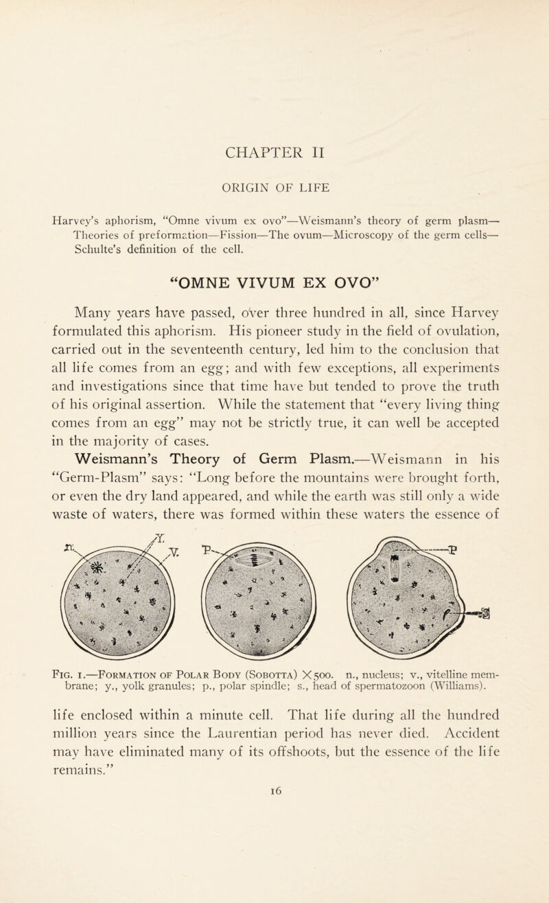 ORIGIN OF LIFE Harvey’s aphorism, “Omne vivum ex ovo”—Weismann’s theory of germ plasm— Theories of preformation—Fission—The ovum—Microscopy of the germ cells— Schulte’s definition of the cell. “OMNE VIVUM EX OVO” Many years have passed, over three hundred in all, since Harvey formulated this aphorism. His pioneer study in the field of ovulation, carried out in the seventeenth century, led him to the conclusion that all life comes from an egg; and with few exceptions, all experiments and investigations since that time have but tended to prove the truth of his original assertion. While the statement that “every living thing comes from an egg” may not be strictly true, it can well be accepted in the majority of cases. Weismann’s Theory of Germ Plasm.—Weismann in his “Germ-Plasm” says: “Long before the mountains were brought forth, or even the dry land appeared, and while the earth was still only a wide waste of waters, there was formed within these waters the essence of Fig. i.—Formation of Polar Body (Sobotta) X500. n., nucleus; v., vitelline mem¬ brane; y,, yolk granules; p., polar spindle; s., head of spermatozoon (Williams). life enclosed within a minute cell. That life during all the hundred million years since the Laurentian period has never died. Accident may have eliminated many of its offshoots, but the essence of the life remains.”