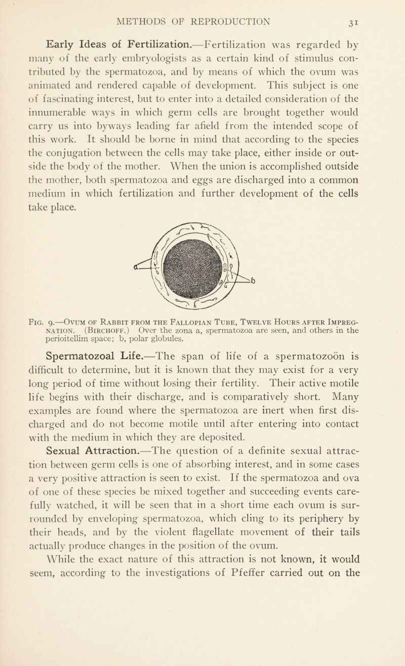 Early Ideas of Fertilization.—Fertilization was regarded by many of the early embryologists as a certain kind of stimulus con¬ tributed by the spermatozoa, and by means of which the ovum was animated and rendered capable of development. This subject is one of fascinating interest, but to enter into a detailed consideration of the innumerable ways in which germ cells are brought together would carry us into byways leading far afield from the intended scope of this work. It should be borne in mind that according to the species the conjugation between the cells may take place, either inside or out¬ side the body of the mother. When the union is accomplished outside the mother, both spermatozoa and eggs are discharged into a common medium in which fertilization and further development of the cells take place. Fig. 9.—Ovum of Rabbit from the Fallopian Tube, Twelve Hours after Impreg¬ nation. (Birchoff.) Over the zona a, spermatozoa are seen, and others in the perioitellim space; b, polar globules. Spermatozoal Life.—The span of life of a spermatozoon is difficult to determine, but it is known that they may exist for a very long period of time without losing their fertility. Their active motile life begins with their discharge, and is comparatively short. Many examples are found where the spermatozoa are inert when first dis¬ charged and do not become motile until after entering into contact with the medium in which they are deposited. Sexual Attraction.—The question of a definite sexual attrac¬ tion between germ cells is one of absorbing interest, and in some cases a very positive attraction is seen to exist. If the spermatozoa and ova of one of these species be mixed together and succeeding events care¬ fully watched, it will be seen that in a short time each ovum is sur¬ rounded by enveloping spermatozoa, which cling to its periphery by their heads, and by the violent flagellate movement of their tails actually produce changes in the position of the ovum. While the exact nature of this attraction is not known, it would seem, according to the investigations of Pfeffer carried out on the