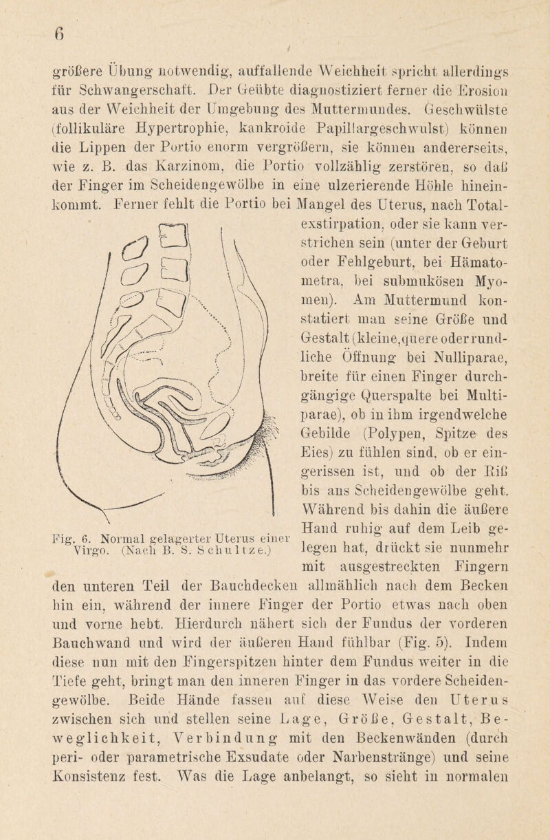 größere Übung notwendig, auffallende Weichheit spricht allerdings für Schwangerschaft. Der Geübte diagnostiziert ferner die Erosion aus der Weichheit der Umgebung des Muttermundes. Geschwülste (follikuläre Hypertrophie, kankroide Papillargeschwulst) können die Lippen der Portio enorm vergrößern, sie können andererseits, wie z. B. das Karzinom, die Portio vollzählig zerstören, so daß der Finger im Scheidengewölbe in eine ulzerierende Höhle hinein¬ kommt. Ferner fehlt die Portio bei Mangel des Uterus, nach Total¬ exstirpation, oder sie kann ver¬ strichen sein (unter der Geburt oder Fehlgeburt, bei Hämato- metra, bei submukösen Myo¬ men). Am Muttermund kon¬ statiert man seine Größe und Gestalt (kleine,q uere oder rund¬ liche Öffnung bei Nulliparae, breite für einen Finger durch¬ gängige Querspalte bei Multi¬ parae), ob in ihm irgendwelche Gebilde (Polypen, Spitze des Eies) zu fühlen sind, ob er ein¬ gerissen ist, und ob der Eiß bis ans Scheidengewölbe geht. Während bis dahin die äußere Hand ruhig auf dem Leib ge- Fig. 6. Normal gelagerter Uterus einer . . . , Virgo. (Nacli B. s. Schnitze.) legen hat, druckt sie nunmehr mit ausgestreckten Fingern den unteren Teil der Bauchdecken allmählich nach dem Becken hin ein, während der innere Finger der Portio etwas nach oben und vorne hebt. Hierdurch nähert sich der Fundus der vorderen Bauchwand und wird der äußeren Hand fühlbar (Fig. 5). Indem diese nun mit den Fingerspitzen hinter dem Fundus weiter in die Tiefe geht, bringt man den inneren Finger in das vordere Scheiden¬ gewölbe. Beide Hände fassen auf diese Weise den Uterus zwischen sich und stellen seine Lage, Größe. Gestalt, Be¬ weglichkeit, Verbindung mit den Beckenwänden (durch peri- oder parametrische Exsudate oder Narbenstränge) und seine Konsistenz fest. Was die Lage anbelangt, so sieht in normalen