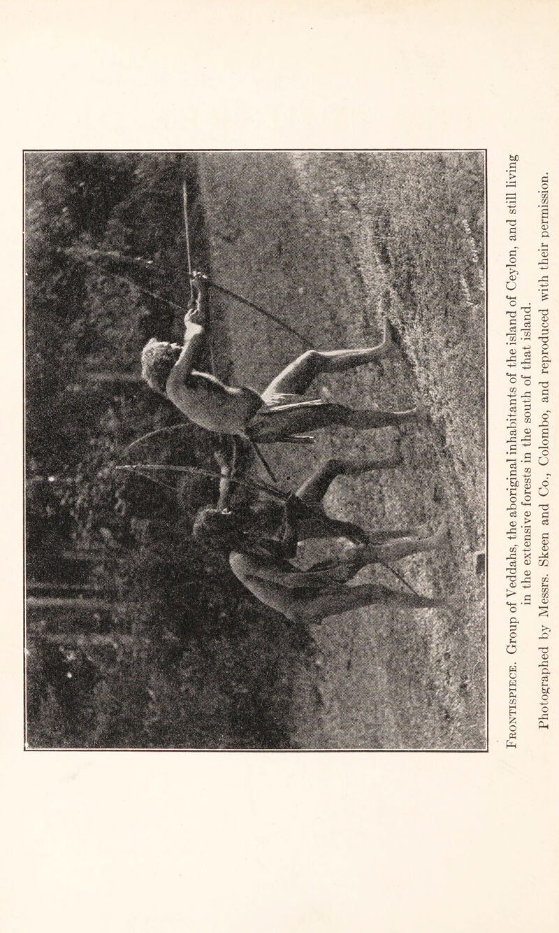 Frontispiece. Group of Veddahs, the aboriginal inhabitants of the island of Ceylon, and still living in the extensive forests in the south of that island. Photographed by Messrs. Skeen and Co., Colombo, and reproduced with their permission.