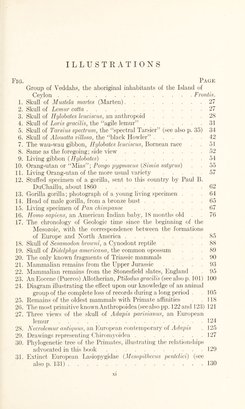 ILLUSTRATIONS Fig. 1. 2. 3. 4. D. 6. 7. 8. 9. 10. 11. 12. 13. 14. 15. 16. 17. 18. 19. 20. 21. 22. 23. 24. 25. 26. 27. 28. 29. 30. 31. Page Group of Veddahs, the aboriginal inhabitants of the Island of Ceylon Frontis. 27 27 28 31 34 42 51 52 Skull of Mustela martes (Marten). Skull of Lemur catta Skull of Hylobates leuciscus, an anthropoid Skull of Loris gracilis, the “agile lemur” . Skull of Tarsius spectrum, the “spectral Tarsier” (see also p. 35) Skull of Alouatta villosa, the “black Howler” . The wau-wau gibbon, Hylobates leuciscus, Bornean race Same as the foregoing; side view Living gibbon (Hylobates) 55 57 Orang-utan or “Mias”; Pongo pygmaeus (,Simia satyrus) Living Orang-utan of the more usual variety .... Stuffed specimen of a gorilla, sent to this country by Paul B. DuChaillu, about 1860 62 Gorilla gorilla; photograph of a young living specimen ... 64 Head of male gorilla, from a bronze bust ....... 65 Living specimen of Pan chimpanse 67 Homo sapiens, an American Indian baby, 18 months old . . 76 The chronology of Geologic time since the beginning of the Mesozoic, with the correspondence between the formations of Europe and North America 85 Skull of Sesamodon browni, a Cynodont reptile 88 Skull of Didelphys americana, the common opossum ... 89 The only known fragments of Triassic mammals 90 Mammalian remains from the UpPer Jurassic 93 Mammalian remains from the Stonesfield slates, England . . 95 An Eocene (Puerco) Allotherian, Ptilodus gracilis (see also p. 101) 100 Diagram illustrating the effect upon our knowledge of an animal group of the complete loss of records during a long period . . 105 Remains of the oldest mammals with Primate affinities . . 118 The most primitive known Anthropoidea (see also pp. 122 and 123) 121 Three views of the skull of Adapis parisianus, an European lemur 124 Necrolemur antiquus, an European contemporary of Adapis . 125 Drawings representing Chiromyoidea 127 Phylogenetic tree of the Primates, illustrating the relationships advocated in this book 129 Extinct European Lasiopygidae (Mesopithecus pentelici) (see also p. 131) 130