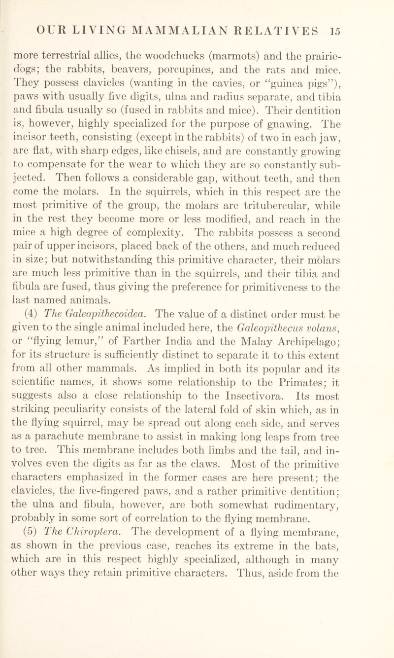 more terrestrial allies, the woodchucks (marmots) and the prairie- dogs; the rabbits, beavers, porcupines, and the rats and mice. They possess clavicles (wanting in the cavies, or “guinea pigs”), paws with usually five digits, ulna and radius separate, and tibia and fibula usually so (fused in rabbits and mice). Their dentition is, however, highly specialized for the purpose of gnawing. The incisor teeth, consisting (except in the rabbits) of two in each jaw, are flat, with sharp edges, like chisels, and are constantly growing to compensate for the wear to which they are so constantly sub- jected. Then follows a considerable gap, without teeth, and then come the molars. In the squirrels, which in this respect are the most primitive of the group, the molars are tritubercular, while in the rest they become more or less modified, and reach in the mice a high degree of complexity. The rabbits possess a second pair of upper incisors, placed back of the others, and much reduced in size; but notwithstanding this primitive character, their molars are much less primitive than in the squirrels, and their tibia and fibula are fused, thus giving the preference for primitiveness to the last named animals. (4) The Galeopithecoidea. The value of a distinct order must be given to the single animal included here, the Galeopithecus volans, or “flying lemur/' of Farther India and the Malay Archipelago; for its structure is sufficiently distinct to separate it to this extent from all other mammals. As implied in both its popular and its scientific names, it shows some relationship to the Primates; it suggests also a close relationship to the Insectivora. Its most striking peculiarity consists of the lateral fold of skin which, as in the flying squirrel, may be spread out along each side, and serves as a parachute membrane to assist in making long leaps from tree to tree. This membrane includes both limbs and the tail, and in- volves even the digits as far as the claws. Most of the primitive characters emphasized in the former cases are here present; the clavicles, the five-fingered paws, and a rather primitive dentition; the ulna and fibula, however, are both somewhat rudimentary, probably in some sort of correlation to the flying membrane. (5) The Chiroptera. The development of a flying membrane, as shown in the previous case, reaches its extreme in the bats, which are in this respect highly specialized, although in many other ways they retain primitive characters. Thus, aside from the