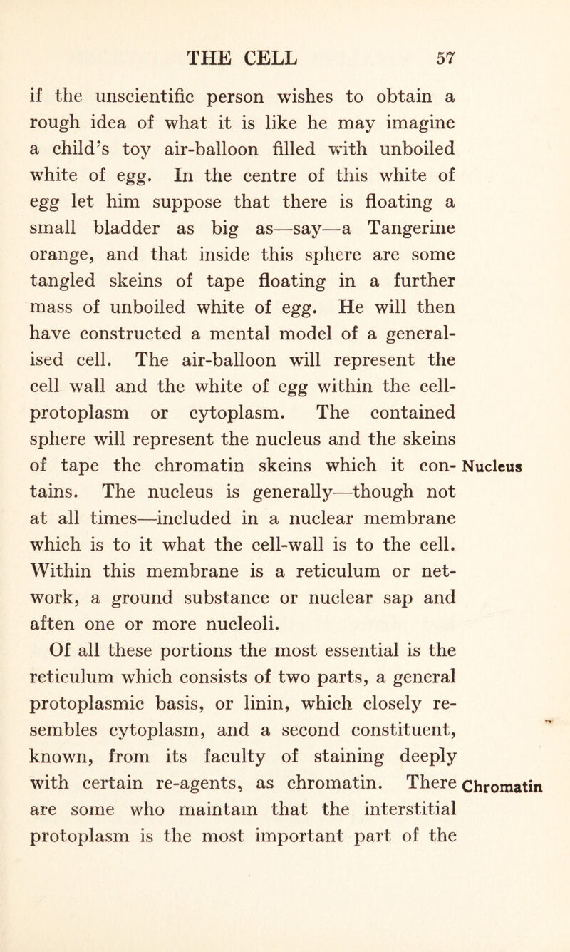 if the unscientific person wishes to obtain a rough idea of what it is like he may imagine a child’s toy air-balloon filled with unboiled white of egg. In the centre of this white of egg let him suppose that there is floating a small bladder as big as—say—a Tangerine orange, and that inside this sphere are some tangled skeins of tape floating in a further mass of unboiled white of egg. He will then have constructed a mental model of a general- ised cell. The air-balloon will represent the cell wall and the white of egg within the cell- protoplasm or cytoplasm. The contained sphere will represent the nucleus and the skeins of tape the chromatin skeins which it con- Nucleus tains. The nucleus is generally—though not at all times—included in a nuclear membrane which is to it what the cell-wall is to the cell. Within this membrane is a reticulum or net- work, a ground substance or nuclear sap and aften one or more nucleoli. Of all these portions the most essential is the reticulum which consists of two parts, a general protoplasmic basis, or linin, which closely re- sembles cytoplasm, and a second constituent, known, from its faculty of staining deeply with certain re-agents, as chromatin. There Chromatin are some who maintain that the interstitial protoplasm is the most important part of the