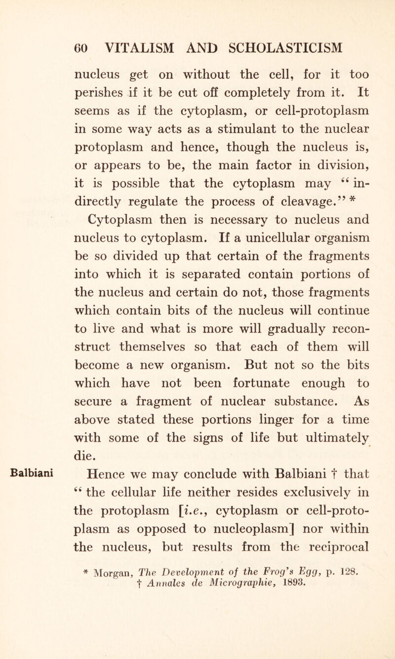 Balbiani nucleus get on without the cell, for it too perishes if it be cut off completely from it. It seems as if the cytoplasm, or cell-protoplasm in some way acts as a stimulant to the nuclear protoplasm and hence, though the nucleus is, or appears to be, the main factor in division, it is possible that the cytoplasm may 44 in- directly regulate the process of cleavage.”* Cytoplasm then is necessary to nucleus and nucleus to cytoplasm. If a unicellular organism be so divided up that certain of the fragments into which it is separated contain portions of the nucleus and certain do not, those fragments which contain bits of the nucleus will continue to live and what is more will gradually recon- struct themselves so that each of them will become a new organism. But not so the bits which have not been fortunate enough to secure a fragment of nuclear substance. As above stated these portions linger for a time with some of the signs of life but ultimately die. Hence we may conclude with Balbiani f that 44 the cellular life neither resides exclusively in the protoplasm [i.e., cytoplasm or cell-proto- plasm as opposed to nucleoplasm] nor within the nucleus, but results from the reciprocal * Morgan, The Development of the Frog’s Egg, p. 128. t Annales de Micrographie, 1893.