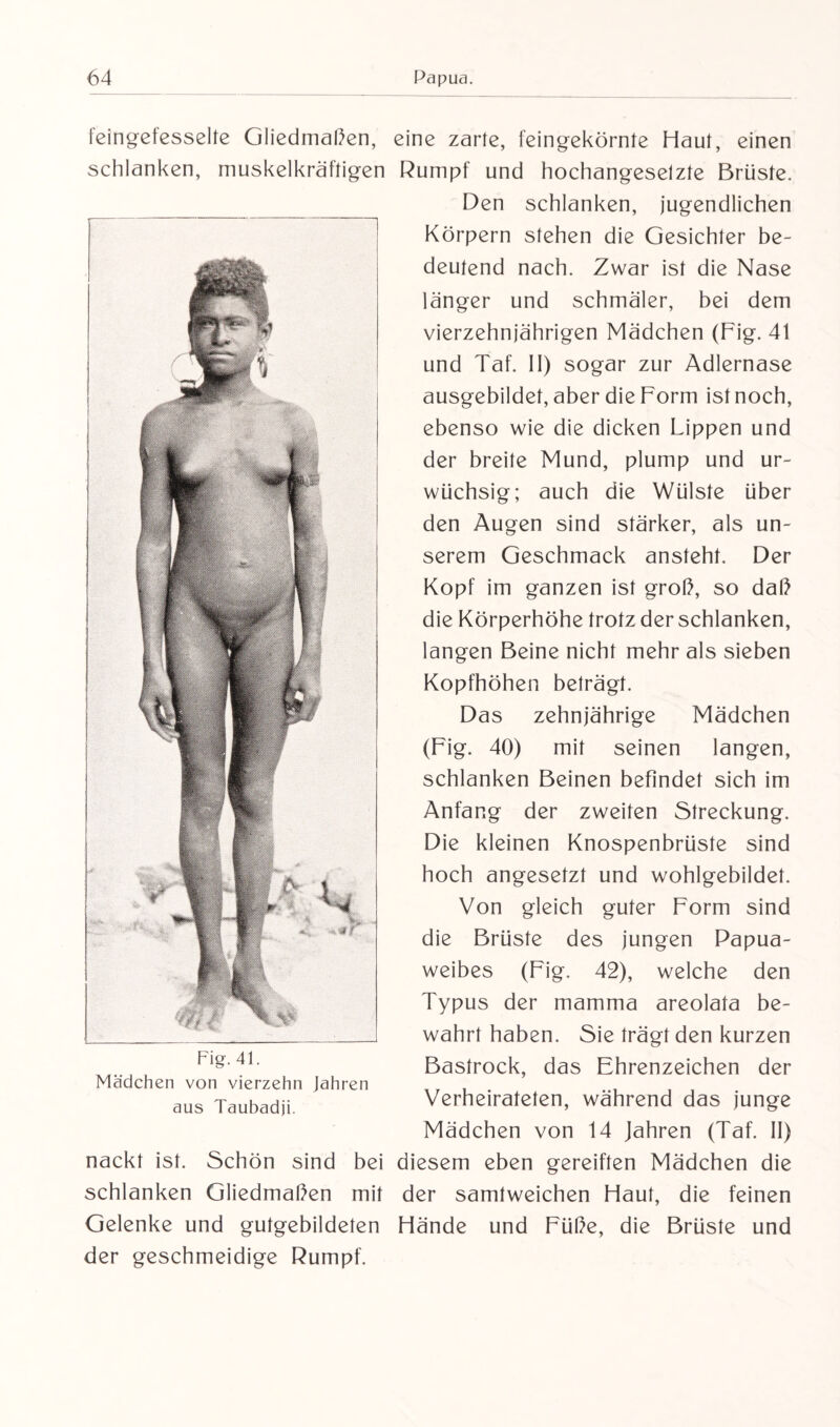 feingefesselte Gliedmaßen, schlanken, muskelkräftigen Fig. 41. Mädchen von vierzehn Jahren aus Taubadji. nackt ist. Schön sind bei schlanken Gliedmaßen mit Gelenke und gutgebildeten der geschmeidige Rumpf. eine zarte, feingekörnte Haut, einen Rumpf und hochangeselzte Brüste. Den schlanken, jugendlichen Körpern stehen die Gesichter be¬ deutend nach. Zwar ist die Nase länger und schmäler, bei dem vierzehnjährigen Mädchen (Fig. 41 und Taf. II) sogar zur Adlernase ausgebildet, aber die Form ist noch, ebenso wie die dicken Lippen und der breite Mund, plump und ur¬ wüchsig; auch die Wülste über den Augen sind stärker, als un¬ serem Geschmack ansteht. Der Kopf im ganzen ist groß, so daß die Körperhöhe trotz der schlanken, langen Beine nicht mehr als sieben Kopfhöhen beträgt. Das zehnjährige Mädchen (Fig. 40) mit seinen langen, schlanken Beinen befindet sich im Anfang der zweiten Streckung. Die kleinen Knospenbrüste sind hoch angesetzt und wohlgebildet. Von gleich guter Form sind die Brüste des jungen Papua¬ weibes (Fig. 42), welche den Typus der mamma areolata be¬ wahrt haben. Sie trägt den kurzen Bastrock, das Ehrenzeichen der Verheirateten, während das junge Mädchen von 14 Jahren (Taf. II) diesem eben gereiften Mädchen die der samtweichen Haut, die feinen Hände und Füße, die Brüste und