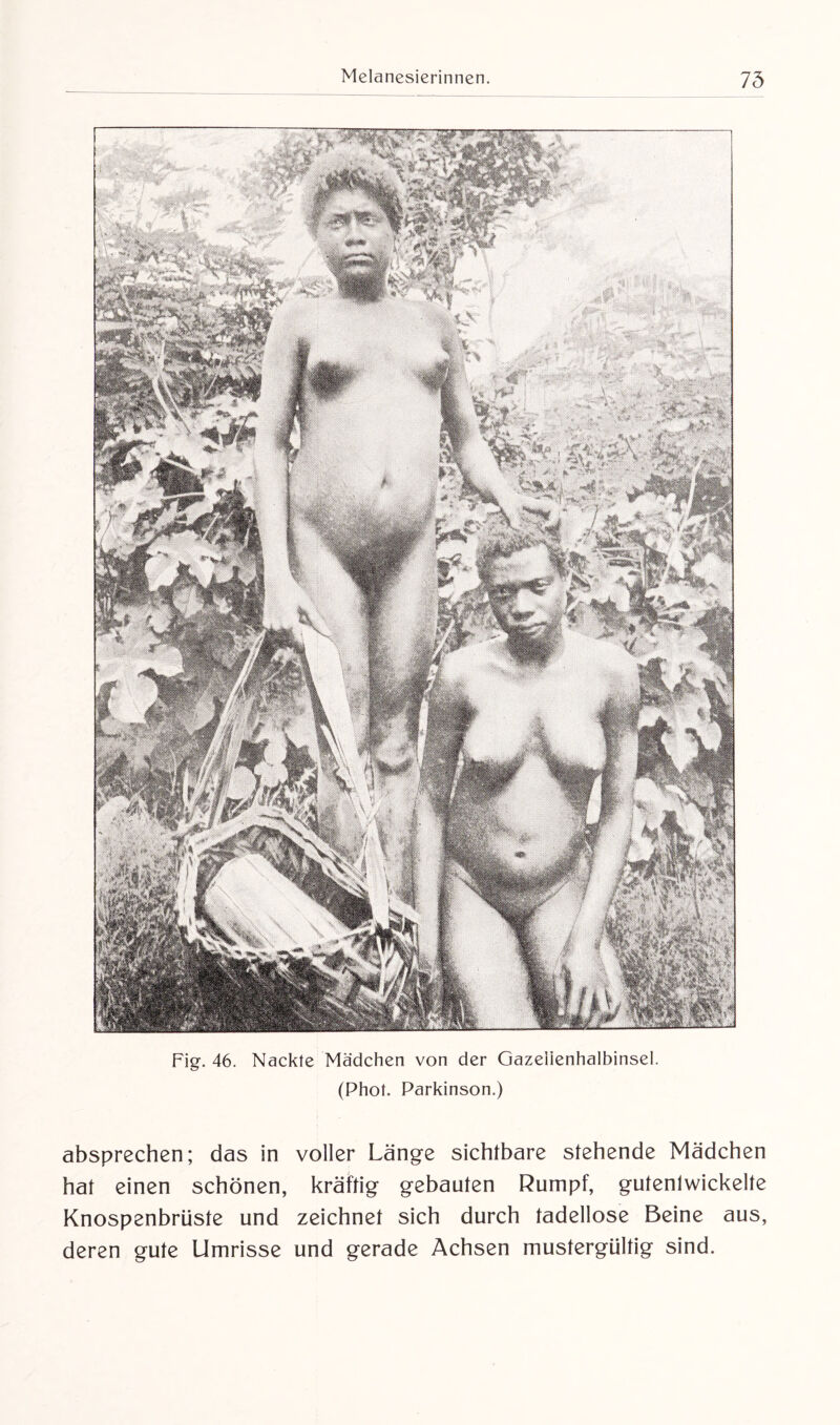 Fig. 46. Nackte Mädchen von der Gazeiienhalbinsel. (Phot. Parkinson.) absprechen; das in voller Länge sichtbare stehende Mädchen hat einen schönen, kräftig gebauten Rumpf, gutenlwickelte Knospenbrüste und zeichnet sich durch tadellose Beine aus, deren gute Umrisse und gerade Achsen mustergültig sind.