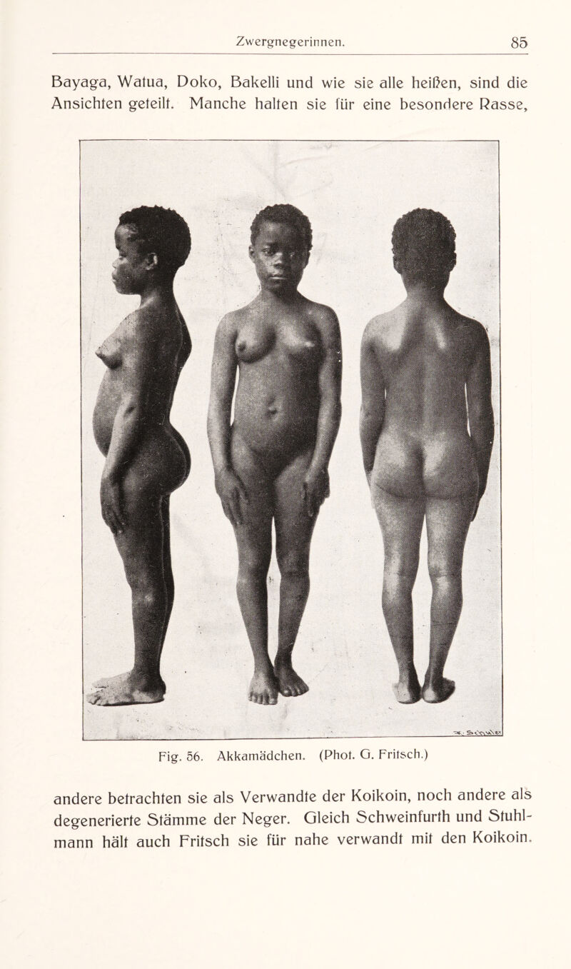 Bayaga, Watua, Doko, Bakelli und wie sie alle heißen, sind die Ansichten geteilt. Manche halten sie für eine besondere Rasse, Fig. 56. Akkamädchen. (Phot. G. Fritsch.) andere betrachten sie als Verwandte der Koikoin, noch andere als degenerierte Stämme der Neger. Gleich Schweinfurth und Stuhl¬ mann hält auch Fritsch sie für nahe verwandt mit den Koikoin.