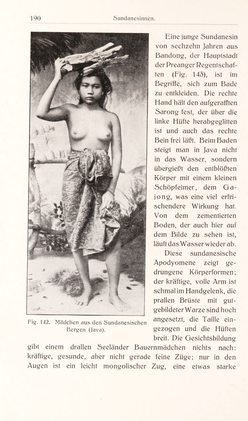 Eine junge Sundanesin von sechzehn Jahren aus Bandong, der Hauptstadt der Preanger Regentschaf¬ ten (Fig. 145), ist im Begriffe, sich zum Bade zu entkleiden. Die rechte Hand hält den aufgerafften Sarong fest, der über die linke Hüfte herabgeglitten ist und auch das rechte Bein frei läßt. Beim Baden steigt man in Java nicht in das Wasser, sondern übergießt den entblößten Körper mit einem kleinen Schöpfeimer, dem Ga- jong, was eine viel erfri¬ schendere Wirkung hat. Von dem zementierten Boden, der auch hier auf dem Bilde zu sehen ist, läuft das Wasser wieder ab. Diese sundanesische Apodyomene zeigt ge¬ drungene Körperformen; der kräftige, volle Arm ist schmal im Handgelenk, die prallen Brüste mit gut¬ gebildeter Warze sind hoch angesetzt, die Taille ein¬ gezogen und die Hüften breit. Die Gesichtsbildung gibt einem drallen Seeländer Bauernmädchen nichts nach: kräftige, gesunde, aber nicht gerade feine Züge; nur in den Augen ist ein leicht mongolischer Zug, eine etwas starke Fig. 142. Mädchen aus den Sundanesischen Bergen (Java).