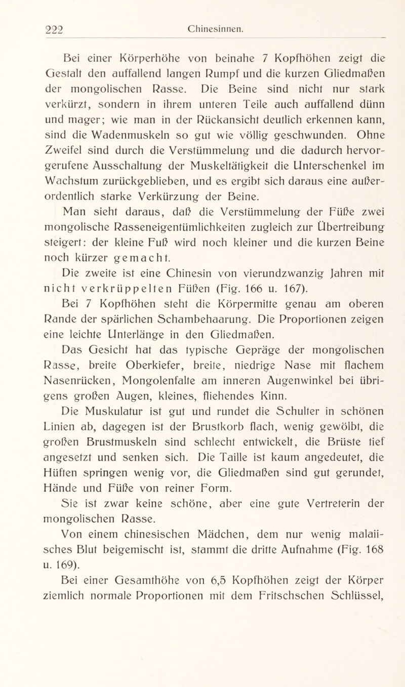 Bei einer Körperhöhe von beinahe 7 Kopfhöhen zeigt die Gestalt den auffallend langen Rumpf und die kurzen Gliedmaßen der mongolischen Rasse. Die Beine sind nicht nur stark verkürzt, sondern in ihrem unteren Teile auch auffallend dünn und mager; wie man in der Rückansicht deutlich erkennen kann, sind die Wadenmuskeln so gut wie völlig geschwunden. Ohne Zweifel sind durch die Verstümmelung und die dadurch hervor¬ gerufene Ausschaltung der Muskeltätigkeit die Unterschenkel im Wachstum zurückgeblieben, und es ergibt sich daraus eine außer¬ ordentlich starke Verkürzung der Beine. Man sieht daraus, daß die Verstümmelung der Füße zwei mongolische Rasseneigentümlichkeiten zugleich zur Übertreibung steigert: der kleine Fuß wird noch kleiner und die kurzen Beine noch kürzer gemacht. Die zweite ist eine Chinesin von vierundzwanzig Jahren mit nicht verkrüppelten Füßen (Fig. 166 u. 167). Bei 7 Kopfhöhen steht die Körpermitte genau am oberen Rande der spärlichen Schambehaarung. Die Proportionen zeigen eine leichte Unterlänge in den Gliedmaßen. Das Gesicht hat das typische Gepräge der mongolischen Rasse, breite Oberkiefer, breite, niedrige Nase mit flachem Nasenrücken, Mongolenfalte am inneren Augenwinkel bei übri¬ gens großen Augen, kleines, fliehendes Kinn. Die Muskulatur ist gut und rundet die Schulter in schönen Linien ab, dagegen ist der Brustkorb flach, wenig gewölbt, die großen Brustmuskeln sind schlecht entwickelt, die Brüste tief angesetzt und senken sich. Die Taille ist kaum angedeutet, die Hüften springen wenig vor, die Gliedmaßen sind gut gerundet, Hände und Füße von reiner Form. Sie ist zwar keine schöne, aber eine gute Vertreterin der mongolischen Rasse. Von einem chinesischen Mädchen, dem nur wenig malaii¬ sches Blut beigemischt ist, stammt die dritte Aufnahme (Fig. 168 u. 169). Bei einer Gesamthöhe von 6,5 Kopfhöhen zeigt der Körper ziemlich normale Proportionen mit dem Fritschschen Schlüssel,