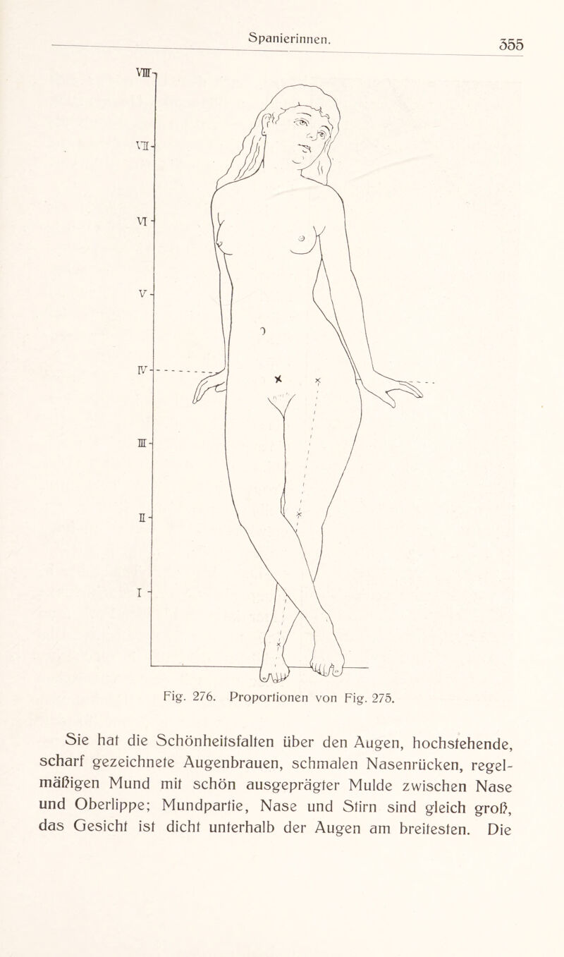 555 Sie hat die Schönheitsfalten über den Augen, hochstehende, scharf gezeichnete Augenbrauen, schmalen Nasenrücken, regel¬ mäßigen Mund mit schön ausgeprägter Mulde zwischen Nase und Oberlippe; Mundpartie, Nase und Stirn sind gleich groß, das Gesicht ist dicht unterhalb der Augen am breitesten. Die