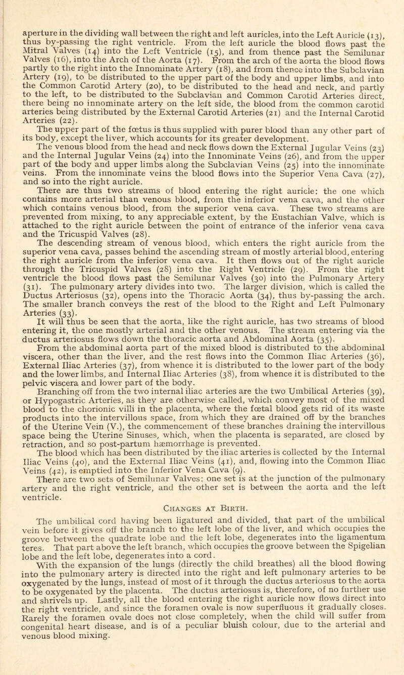 aperture in the dividing wall between the right and left auricles, into the Left Auricle (13), thus by-passing the right ventricle. From the left auricle the blood flows past the Mitral \alves (14) into the Left Ventricle (15), and from thence past the Semilunar Valves (16), into the Arch of the Aorta (17). From the arch of the aorta the blood flows partly to the right into the Innominate Artery (18), and from thence into the Subclavian Artery (19), to be distributed to the upper part of the bodv and upper limbs, and into the Common Carotid Artery (20), to be distributed to the head and neck, and partly to the left, to be distributed to the Subclavian and Common Carotid Arteries direct, there being no innominate artery on the left side, the blood from the common carotid arteries being distributed by the External Carotid Arteries (21) and the Internal Carotid Arteries (22). The upper part of the foetus is thus supplied with purer blood than any other part of its body, except the liver, which accounts for its greater development. The venous blood from the head and neck flows down the External Jugular Veins (23) and the Internal Jugular Veins (24) into the Innominate Veins (26), and from the upper part of the body and upper limbs along the Subclavian Veins (25) into the innominate veins. From the innominate veins the blood flows into the Superior Vena Cava (27), and so into the right auricle. There are thus two streams of blood entering the right auricle: the one which contains more arterial than venous blood, from the inferior vena cava, and the other which contains venous blood, from the superior vena cava. These two streams are prevented from mixing, to any appreciable extent, by the Eustachian Valve, which is attached to the right auricle between the point of entrance of the inferior vena cava and the Tricuspid Valves (28). The descending stream of venous blood, which enters the right auricle from the superior vena cava, passes behind the ascending stream of mostly arterial blood, entering the right auricle from the inferior vena cava. It then flows out of the right auricle through the Tricuspid Valves (28) into the Right Ventricle (29). From the right ventricle the blood flows past the Semilunar Valves (30) into the Pulmonary Artery (31). The pulmonary artery divides into two. The larger division, which is called the Ductus Arteriosus (32), opens into the Thoracic Aorta (34), thus by-passing the arch. The smaller branch conveys the rest of the blood to the Right and Left Pulmonary Arteries (33). It will thus be seen that the aorta, like the right auricle, has two streams of blood entering it, the one mostly arterial and the other venous. The stream entering via the ductus arteriosus flows down the thoracic aorta and Abdominal Aorta (35). From the abdominal aorta part of the mixed blood is distributed to the abdominal viscera, other than the liver, and the rest flows into the Common Iliac Arteries (36), External Iliac Arteries (37), from whence it is distributed to the lower part of the body and the lower limbs, and Internal Iliac Arteries (38), from whence it is distributed to the pelvic viscera and lower part of the body. Branching off from the two internal iliac arteries are the two Umbilical Arteries (39), or Hypogastric Arteries, as they are otherwise called, which convey most of the mixed blood to the chorionic villi in the placenta, where the foetal blood gets rid of its waste products into the intervillous space, from which they are drained off by the branches of the Uterine Vein (V.), the commencement of these branches draining the intervillous space being the Uterine Sinuses, which, when the placenta is separated, are closed by retraction, and so post-partum haemorrhage is prevented. The blood which has been distributed by the iliac arteries is collected by the Internal Iliac Veins (40), and the External Iliac Veins (41), and, flowing into the Common Iliac Veins (42), is emptied into the Inferior Vena Cava (9). There are two sets of Semilunar Valves: one set is at the junction of the pulmonary artery and the right ventricle, and the other set is between the aorta and the left ventricle. Changes at Birth. The umbilical cord having been ligatured and divided, that part of the umbilical vein before it gives off the branch to the left lobe of the liver, and which occupies the groove between the quadrate lobe and the left lobe, degenerates into the ligamentum teres. That part above the left branch, which occupies the groove between the Spigelian lobe and the left lobe, degenerates into a cord. With the expansion of the lungs (directly the child breathes) all the blood flowing into the pulmonary artery is directed into the right and left pulmonary arteries to be oxygenated by the lungs, instead of most of it through the ductus arteriosus to the aorta to be oxygenated by the placenta. The ductus arteriosus is, therefore, of no further use and shrivels up. Lastly, all the blood entering the right auricle now flows direct into the right ventricle, and since the foramen ovale is now superfluous it gradually closes. Rarely the foramen ovale does not close completely, when the child will suffer from congenital heart disease, and is of a peculiar bluish colour, due to the arterial and venous blood mixing.