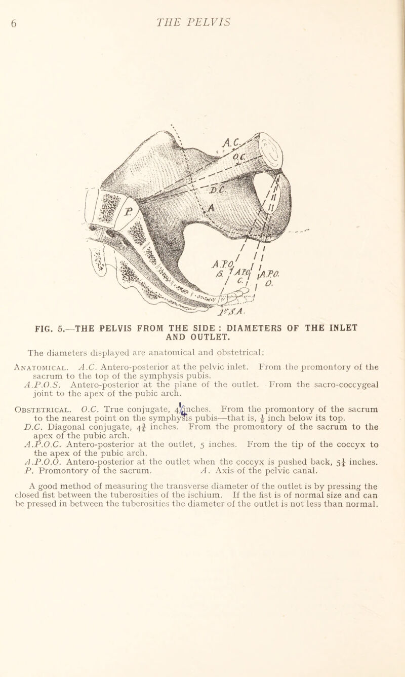 FIG. 5.—THE PELVIS FROM THE SIDE : DIAMETERS OF THE INLET AND OUTLET. The diameters displayed are anatomical and obstetrical: Anatomical. A.C. Antero-posterior at the pelvic inlet. From the promontory of the sacrum to the top of the symphysis pubis. A.P.O.S. Antero-posterior at the plane of the outlet. From the sacro-coccygeal joint to the apex of the pubic arch. Obstetrical. O.C. True conjugate, Ranches. From the promontory of the sacrum to the nearest point on the symphysis pubis—that is, \ inch below its top. D.C. Diagonal conjugate, 4f inches. From the promontory of the sacrum to the apex of the pubic arch. A.P.O.C. Antero-posterior at the outlet, 5 inches. From the tip of the coccyx to the apex of the pubic arch. A.P.O.O. Antero-posterior at the outlet when the coccyx is pushed back, 5^ inches. P. Promontory of the sacrum. A. Axis of the pelvic canal. A good method of measuring the transverse diameter of the outlet is by pressing the closed fist between the tuberosities of the ischium. If the fist is of normal size and can be pressed in between the tuberosities the diameter of the outlet is not less than normal.