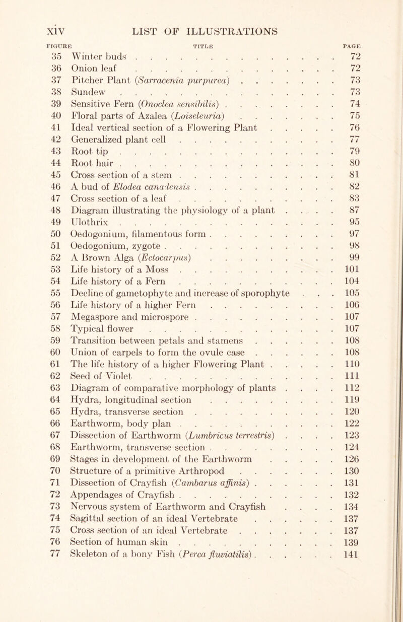 FIGURE TITLE PAGE 35 Winter buds 72 36 Onion leaf 72 37 Pitcher Plant (,Sarracenia purpurea) 73 38 Sundew 73 39 Sensitive Fern (Onoclea sensibilis) 74 40 Floral parts of Azalea (Loiseleuria) 75 41 Ideal vertical section of a Flowering Plant 76 42 Generalized plant cell 77 43 Root tip 79 44 Root hair 80 45 Cross section of a stem 81 46 A bud of Elodea canadensis 82 47 Cross section of a leaf 83 48 Diagram illustrating the physiology of a plant .... 87 49 Ulothrix 95 50 Oedogonium, filamentous form 97 51 Oedogonium, zygote 98 52 A Brown Alga (Ectocarpus) 99 53 Life history of a Moss 101 54 Life history of a Fern 104 55 Decline of gametophyte and increase of sporophyte . . 105 56 Life history of a higher Fern 106 57 Megaspore and microspore 107 58 Typical flower 107 59 Transition between petals and stamens 108 60 Union of carpels to form the ovule case 108 61 The life history of a higher Flowering Plant 110 62 Seed of Violet Ill 63 Diagram of comparative morphology of plants . . . . 112 64 Hydra, longitudinal section 119 65 Hydra, transverse section 120 66 Earthworm, body plan 122 67 Dissection of Earthworm (Lumbricus terrestris) .... 123 68 Earthworm, transverse section 124 69 Stages in development of the Earthworm 126 70 Structure of a primitive Arthropod 130 71 Dissection of Crayfish (Cambarus affinis) 131 72 Appendages of Crayfish 132 73 Nervous system of Earthworm and Crayfish .... 134 74 Sagittal section of an ideal Vertebrate 137 75 Cross section of an ideal Vertebrate 137 76 Section of human skin 139 77 Skeleton of a bony Fish (Perea fluviatilis) 141