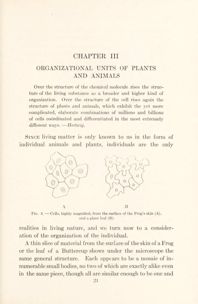 ORGANIZATIONAL UNITS OF PLANTS AND ANIMALS Over the structure of the chemical molecule rises the struc- ture of the living substance as a broader and higher kind of organization. Over the structure of the cell rises again the structure of plants and animals, which exhibit the yet more complicated, elaborate combinations of millions and billions of cells coordinated and differentiated in the most extremely different ways. —Hertwig. Since living matter is only known to us in the form of individual animals and plants, individuals are the only Fig. 4. — Cells, highly magnified, from the surface of the Frog’s skin (A), and a plant leaf (B). realities in living nature, and we turn now to a consider- ation of the organization of the individual. A thin slice of material from the surface of the skin of a Frog or the leaf of a Buttercup shows under the microscope the same general structure. Each appears to be a mosaic of in- numerable small bodies, no two of which are exactly alike even in the same piece, though all are similar enough to be one and