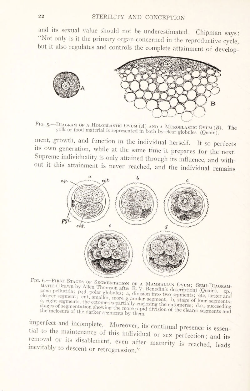 and its sexual value should not be underestimated. Chipman says: Not only is it the primary organ concerned in the reproductive cycle, but it also regulates and controls the complete attainment of develop- Fig. -Diagram of a Holoblastic Ovum (A) and a Meroblastic Ovum (.B) yolk or food material is represented in both by clear globules (Quain). The ment, growth, and function in the individual herself. It so perfects its own generation, while at the same time it prepares for the next Supreme individuality is only attained through its influence, and with¬ out it this attainment is never reached, and the individual remains a matic (Drawn by Allen Thomson after E V r ? “ ? °YU]Vf; Semi-Diagram- zona pellucida; p.gl. polarEw? r - Benedm s description) (Quain). Zp., clearer segment; ent smalfer morp iC ^ C011 mto two segments; etc, larger and c, eight segments, the ectomeres mrtiahv pIwi b» sta^e of four segments; stages of segmentation ofthTY ^ SUCCeedin« the mclosure of the darker segments by theF dlVlslon of the clearer segments and mpe. feet and incomplete. Moreover, its continual presence is essen- t.al to he maintenance of this individual or sex perfection • and its remova or its disablement, even after maturity is reached lead inevitably to descent or retrogression.” ' ’