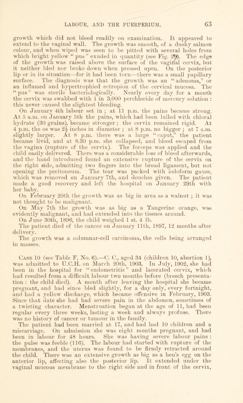 growth which did not bleed readily on examination. It appeared to extend to the vaginal wall. The growth was smooth, of a dusky salmon colour, and when wiped was seen to be pitted with several holes from which bright yellow “ pus ” exuded in quantity (see Fig. 2t)f). The edge of the growth was raised above the surface of the vaginal cervix, but it neither bled nor broke down when pressed upon. On the posterior lip or in its situation—for it had been torn—there was a small papillary surface. The diagnosis was that the growth was an “ adenoma,’’ or an inflamed and hypertrophied ectropion of the cervical mucosa. The “pus” was sterile bacteriologically. Nearly every day for a month the cervix was swabbed with 1 in 3,000 perchloride of mercury solution : this never caused the slightest bleeding. On January 4th labour set in ; at 11 p.m. the pains became strong. At 5 a.m. on January 5th the pains, which had been lulled with chloral hydrate (30 grains), became stronger ; the cervix remained rigid. At 4 p.m. the os was 2-jr inches in diameter ; at 8 p.m. no bigger ; at 7 a.m. slightly larger. At 8 p.m. there was a large “ caput,” the patient became livid, and at 8.30 p.m. she collapsed, and blood escaped from the vagina (rupture of the cervix). The forceps was applied and the child easily delivered. There was a considerable loss of blood afterwards, and the hand introduced found an extensive rupture of the cervix on the right side, admitting two fingers into the broad ligament, but not opening the peritoneum. The tear was packed with iodoform gauze, which was removed on January 7th, and douches given. The patient made a good recovery and left the hospital on January 29th with her baby. On February 20th the growth was as big in area as a walnut ; it was not thought to be malignant. On May 7th the growth was as big as a Tangerine orange, was evidently malignant, and had extended into the tissues around. On June 30th, 1896, the child weighed 1 st. 4 lb. The patient died of the cancer on January 11th, 1897, 12 months after delivery. The growth was a columnar-cell carcinoma, the cells being arranged in masses. Case 10 (see Table F, No. 6).—C. C., aged 34 (children 10, abortion 1), was admitted to U.C.H. on March 20th, 1903. In July, 1902, she had been in the hospital for “endometritis” and lacerated cervix, v/hich had resulted from a difficult labour two months before (breech presenta¬ tion : the child died). A month after leaving the hospital she became pregnant, and had since bled slightly, for a day only, every fortnight, and had a yellow discharge, which became offensive in February, 1903. Since that date she had had severe pain in the abdomen, sometimes of a twisting character. Menstruation began at the age of 11, had been regular every three weeks, lasting a week and always profuse. There was no history of cancer or tumour in the family. The patient had been married at 17, and had had 10 children and a miscarriage. On admission she was eight months pregnant, and had been in labour for 48 hours. She was having severe labour pains ; the pulse was feeble (116). The labour had started with rupture of the membranes, and the uterus was found to be firmly retracted around the child. There was an extensive growth as big as a hen’s egg on the anterior lip, affecting also the posterior lip. It extended under the vaginal mucous membrane to the right side and in front of the cervix,