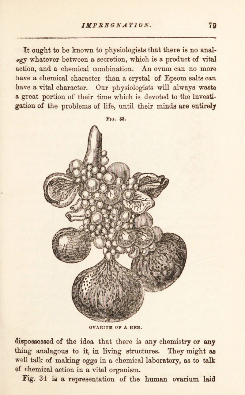 It ought to be known to physiologists that there is no anal¬ ogy whatever between a secretion, which is a product of vital action, and a chemical combination. An ovum can no more nave a chemical character than a crystal of Epsom salts can have a vital character. Our physiologists will always waste a great portion of their time which is devoted to the investi* gation of the problems of Life, until their minds are entirely Fig, S3. OVARIUM OF A HEN. dispossessed of the idea that there is any chemistry or any thing analagous to it, in living structures. They might as well talk of making eggs in a chemical laboratory, as to talk of chemical action in a vital organism. Fig. 34 is a representation of the human ovarium laid