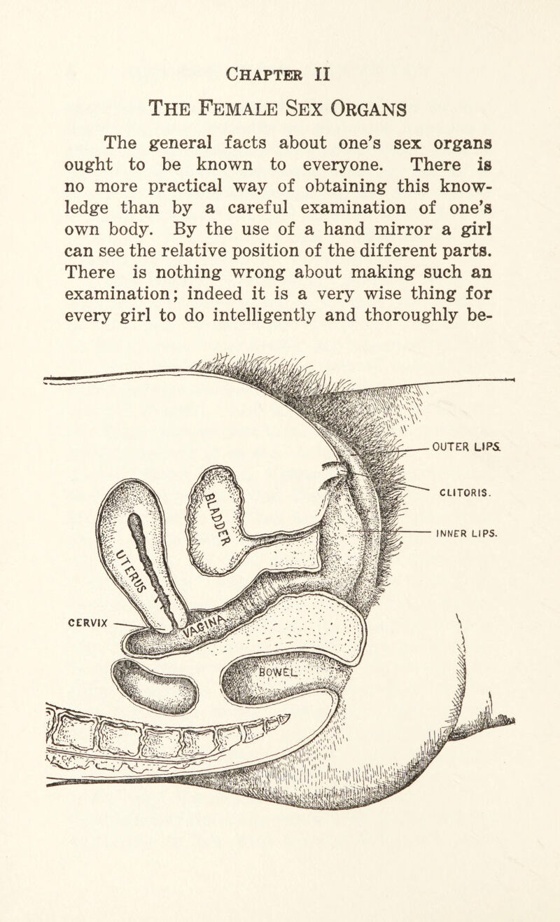 The Female Sex Organs The general facts about one's sex organs ought to be known to everyone. There is no more practical way of obtaining this know¬ ledge than by a careful examination of one's own body. By the use of a hand mirror a girl can see the relative position of the different parts. There is nothing wrong about making such an examination; indeed it is a very wise thing for every girl to do intelligently and thoroughly be- _-OUTER UPS. CLITORIS. INNER LIPS.