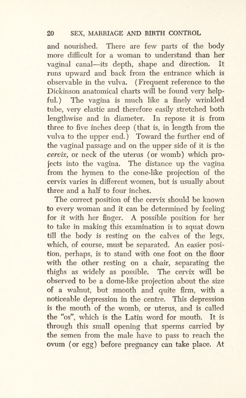 and nourished. There are few parts of the body more difficult for a woman to understand than her vaginal canal—its depth, shape and direction. It runs upward and back from the entrance which is observable in the vulva. (Frequent reference to the Dickinson anatomical charts will be found very help¬ ful. ) The vagina is much like a finely wrinkled tube, very elastic and therefore easily stretched both lengthwise and in diameter. In repose it is from three to five inches deep (that is, in length from the vulva to the upper end.) Toward the further end of the vaginal passage and on the upper side of it is the cervix, or neck of the uterus (or womb) which pro¬ jects into the vagina. The distance up the vagina from the hymen to the cone-like projection of the cervix varies in different women, but is usually about three and a half to four inches. The correct position of the cervix should be known to every woman and it can be determined by feeling for it with her finger. A possible position for her to take in making this examination is to squat down till the body is resting on the calves of the legs, which, of course, must be separated. An easier posi¬ tion, perhaps, is to stand with one foot on the floor with the other resting on a chair, separating the thighs as widely as possible. The cervix will be observed to be a dome-like projection about the size of a walnut, but smooth and quite firm, with a noticeable depression in the centre. This depression is the mouth of the womb, or uterus, and is called the “os”, which is the Latin word for mouth. It is through this small opening that sperms carried by the semen from the male have to pass to reach the ovum (or egg) before pregnancy can take place. At