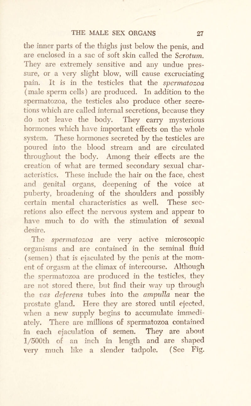 the inner parts of the thighs just below the penis, and are enclosed in a sac of soft skin called the Scrotum. They are extremely sensitive and any undue pres¬ sure, or a very slight blow, will cause excruciating pain. It is in the testicles that the spermatozoa (male sperm cells) are produced. In addition to the spermatozoa, the testicles also produce other secre¬ tions which are called internal secretions, because they do not leave the body. They carry mysterious hormones which have important effects on the whole system. These hormones secreted by the testicles are poured into the blood stream and are circulated throughout the body. Among their effects are the creation of what are termed secondary sexual char¬ acteristics. These include the hair on the face, chest and genital organs, deepening of the voice at puberty, broadening of the shoulders and possibly certain mental characteristics as well. These sec¬ retions also effect the nervous system and appear to have much to do with the stimulation of sexual desire. The spermatozoa are very active microscopic organisms and are contained in the seminal fluid (semen) that is ejaculated by the penis at the mom¬ ent of orgasm at the climax of intercourse. Although the spermatozoa are produced in the testicles, they are not stored there, but find their way up through the vas deferens tubes into the ampulla near the prostate gland. Here they are stored until ejected, when a new supply begins to accumulate immedi¬ ately. There are millions of spermatozoa contained in each ejaculation of semen. They are about i/500th of an inch in length and are shaped very much like a slender tadpole. (See Fig.