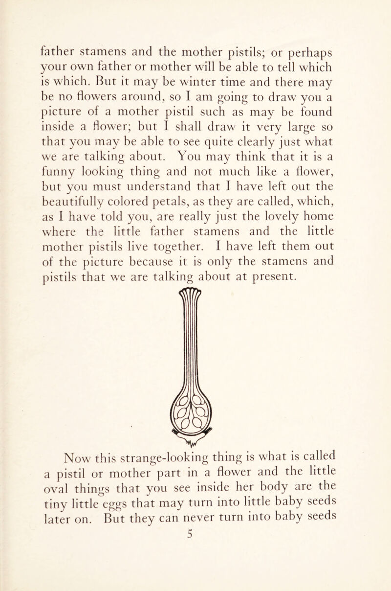 father stamens and the mother pistils; or perhaps your own father or mother will be able to tell which is which. But it may be winter time and there may be no flowers around, so I am going to draw you a picture of a mother pistil such as may be found inside a flower; but I shall draw it very large so that you may be able to see quite clearly just what we are talking about. You may think that it is a funny looking thing and not much like a flower, but you must understand that I have left out the beautifully colored petals, as they are called, which, as I have told you, are really just the lovely home where the little father stamens and the little mother pistils live together. I have left them out of the picture because it is only the stamens and pistils that we are talking about at present. Now this strange-looking thing is what is called a pistil or mother part in a flower and the little oval things that you see inside her body are the tiny little eggs that may turn into little baby seeds later on. But they can never turn into baby seeds