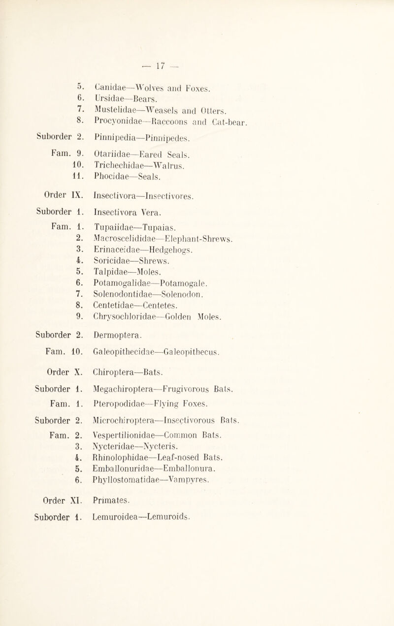 6. 7. 8. Suborder 2. Fain. 9. 10. 11. Canidae—Wolves and Foxes. Ursidae—Bears. Mustelidae—Weasels and Otters. Proeyonidae—Raccoons and Cat-bear. Pinnipedia—Pinnipedes. Otariidae—Eared Seals. T richechidae—Walrus. Phocidae—Seals. Order IX. Insectivora—Insectivores. Suborder 1. Insectivora Vera. Fam. 1. Tupaiidae—Tupaias. 2. M acroscel ididae—Elephant-Shrews. 3. E rina cei d a e—H e dgeh ogs. 4. Soricidae—Shrews. 5. Talpidae—Moles. 6. Potamogalidae—Potamogale. 7. Solenoclontidae—Solenodon. 8. Centetidae—Centetes. 9. Chrvsochloridae—Golden Moles. Suborder 2. Dermoptera. Fam. 10. Galeopithecidae—Galeopithecus. Order X. Suborder 1. Fam. 1. Suborder 2. Fam. 2. 3. 4. 5. 6. Chiroptera—Bats. Megachiroptera—Frugivorous Bats. Pteropodidae—Flying Foxes. Microchiroptera—Insectivorous Bats. Vespertilionidae—Common Bats. Nycteridae—Nycteris. Rhinolophidae—Leaf-nosed Bats. Emballonuridae—Emballonura. Phyllostomatidae—Vampyres. Order XL Suborder 1. Primates. Lemuroidea—-Lemuroids.