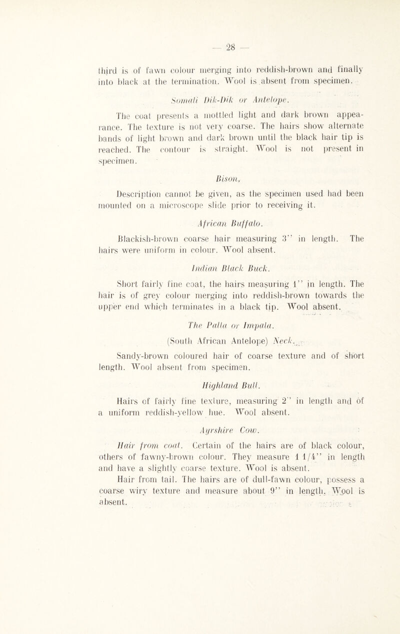 third is of fawn colour merging into reddish-brown and finally into black at the termination. Wool is.absent from specimen. Somali Dik-Dik or Antelope. The coat presents a mottled light and dark brown appea¬ rance. The texture is not very coarse. The hairs show alternate hands of light brown and dark brown until the black hair tip is reached. The contour is straight. Wool is not present in specimen. Bison. Description cannot be given, as the specimen used had been mounted on a microscope slide prior to receiving it. African Buffalo. Blackish-brown coarse hair measuring 3!5 in length. The hairs were uniform in colour. Wool absent. Indian Black Buck. Short fairly fine coat, the hairs measuring 1” in length. The hair is of grey colour merging into reddish-brown towards the upper end which terminates in a black tip. Wool absent. The Pal la or Jmpala. (South African Antelope) Neck. Sandy-brown coloured hair of coarse texture and of short length. Wool absent from specimen. Highland Bull. Hairs of fairly fine texture, measuring 2 in length and of a uniform reddish-yellow hue. Wool absent. %j Ayrshire Cow. • Hair from coat. Certain of the hairs are of black colour, others of fawny-brown colour. They measure 1 1/4” in length and have a slightly coarse texture. Wool is absent. Hair from tail. The hairs are of dull-fawn colour, possess a coarse wiry texture and measure about 9” in length, Wpol is absent. - — <.