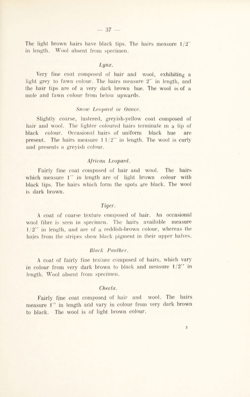 The light brown hairs have black tips. The hairs measure 1/2” in length. Wool absent from specimen. Lynx. Very fine coat composed of hair and wool, exhibiting a light grey to fawn colour. The hairs measure 2’’ in length, and the hair tips are of a very dark brown hue. The wool is of a mole and fawn colour from below upwards. Snow Leopard or Ounce. Slightly coarse, lustered, greyish-yellow coat composed of hair and wool. The lighter coloured hairs terminate in a tip of black colour. Occasional hairs of uniform black hue are present. The hairs measure 1 1/2” in length. The wool is curly and presents a greyish colour. African Leopard. Fairly fine coat composed of hair and wool. The hairs which measure 1” in length are of light brown colour with black tips. The hairs which form the spots are black. The wool is dark brown. Tiger. A coat of coarse texture composed of hair. An occasional wool fibre is seen in specimen. The hairs available measure 1/2” in length, and are of a reddish-brown colour, whereas the hairs from the stripes show black pigment in their upper halves. Black Panther. A coat of fairly fine texture composed of hairs, which vary in colour from very dark brown to black and measure 1/2” in length. Wool absent from specimen. Cheeta. Fairly fine coat composed of hair and wool. The hairs measure 1” in length aild vary in colour from very dark brown to black. The wool is of light brown colour. 3