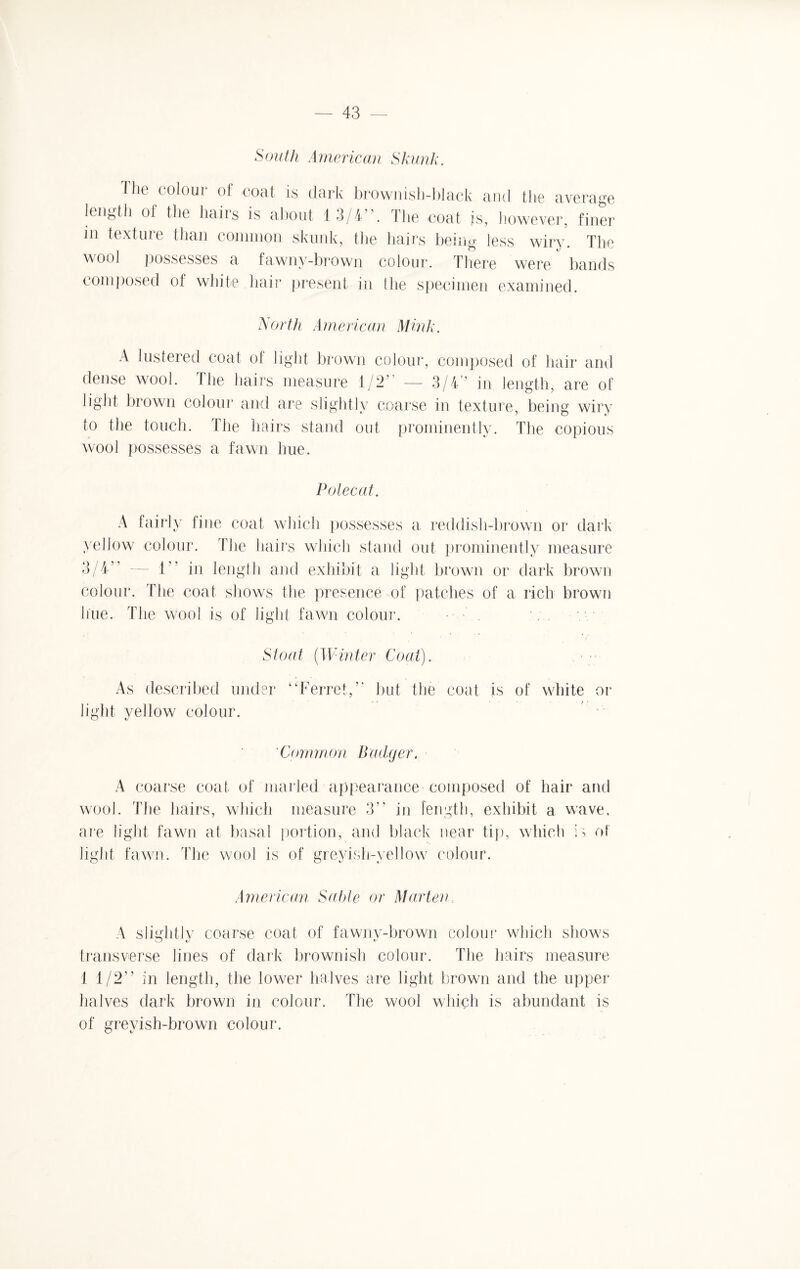 South American Skunk. Mie colour of coat is dark brownish-black and the average length of the hairs is about 13/4”. The coat is, however, finer in texture than common skunk, the hairs being less wiry. The wool possesses a fawny-brown colour. There were hands composed of white hair present in the specimen examined. North American Mink. A lustered coat of light brown colour, composed of hair and dense wool. The hairs measure 1/2” — 3/4’’ in length, are of light brown colour and are slightly coarse in texture, being wiry to the touch. The hairs stand out prominently. The copious wool possesses a fawn hue. Polecat. A fairly fine coat which possesses a reddish-brown or dark yellow colour. The hairs which stand out prominently measure 3/4” — 1” in length and exhibit a light brown or dark brown colour. The coat shows the presence of patches of a rich brown hue. The wool is of light fawn colour. Stoat (Winter Coat). As described under “Ferret, but the coat is of white or light yellow colour. 'Common Badger. A coarse coat of marled appearance composed of hair and wool. The hairs, which measure 3” in length, exhibit a wave, are light fawn at basal portion, and black near tip, which of light fawn. The wool is of greyish-yellow colour. American Sable or Marten A slightly coarse coat of fawny-brown colour which shows transverse lines of dark brownish colour. The hairs measure 1 1/2” in length, the lower halves are light brown and the upper halves dark brown in colour. The wool which is abundant is of greyish-brown colour.