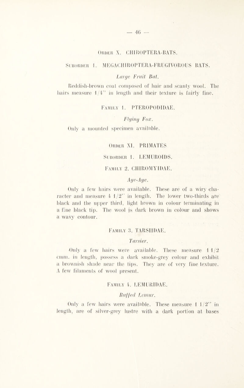 Order X. CHIROPTERA-BATS. Suborder 1. MEGAGHJROPTERA-FRUGIVOROUS HATS. Large Fruit Bat. Reddish-brown coat composed of hair and scanty wool. The hairs measure 1/4’’ in length and their texture is fairly fine. Family 1. PTEROPODIDAE. Flying Fox. Only a mounted specimen available. Order XI. PRIMATES Suborder 1. LEMUROIDS. Family 2. CHIROMYIDAE. Aye-Aye. Only a few hairs were available. These are of a wiry cha¬ racter and measure 4 1/2” in length. The lower two-thirds are black and the upper third, light brown in colour terminating in a fine black tip. The wool is dark brown in colour and shows a wavy contour. Family 3. TAR SI 1 DAE. Tarsier. -Only a few hairs were available. These measure 11/2 cmm. in length, possess a dark smoke-grey colour and exhibit a brownish shade near the tips. They are of very fine texture. A few filaments of wool present. Family 4. LEMURIDAE. Ruffed Lemur. Only a few hairs were available. These measure 1 1/2” in length, are of silver-grey lustre with a dark portion at bases