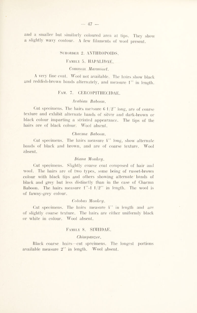 and a smaller but similarly C/ a slightly wavy contour. A coloured area at tips. They show lew filaments of wool present. Suborder 2. ANTHROPOIDS. Family 5. HAPALIDAE. Commoii Mannoset. A very fine coat. Wool not available. The hairs show black and reddish-brown bands alternately, and measure 1” in length. Fam . 7. C E R G 0 PIT H E CIDAE. Arabian Baboon. Out specimens. I he hairs measure 6 1/2” long, are of coarse texture and exhibit alternate bands of silver and dark-brown or black colour imparting a striated appearance. The tips of the hairs are of black colour*. Wool absent. Chacma Baboon. Cut specimens. The hairs measure 4” long, show alternate bands of black and brown, and are of coarse texture. Wool absent. Diana Monkey. Cut specimens. Slightly coarse coal composed of hair and wool. The hairs are of two types, some being of russet-brown colour with black tips and others showing alternate bands of black and grey but less distinctly than in the case of Chacma Baboon. The hairs measure 1”-1 1/2” in length. The wool is of fawny-grey colour. Colobus Monkey. Cut specimens. The hairs measure 4” in of slightly coarse texture. The hairs are either or white in colour. Wool absent. length and are uniformly black kJ Family 8. SIMIIDAE. Chimpanzee. Black coarse hairs—cut specimens. The longest portions available measure 2” in length. Wool absent.