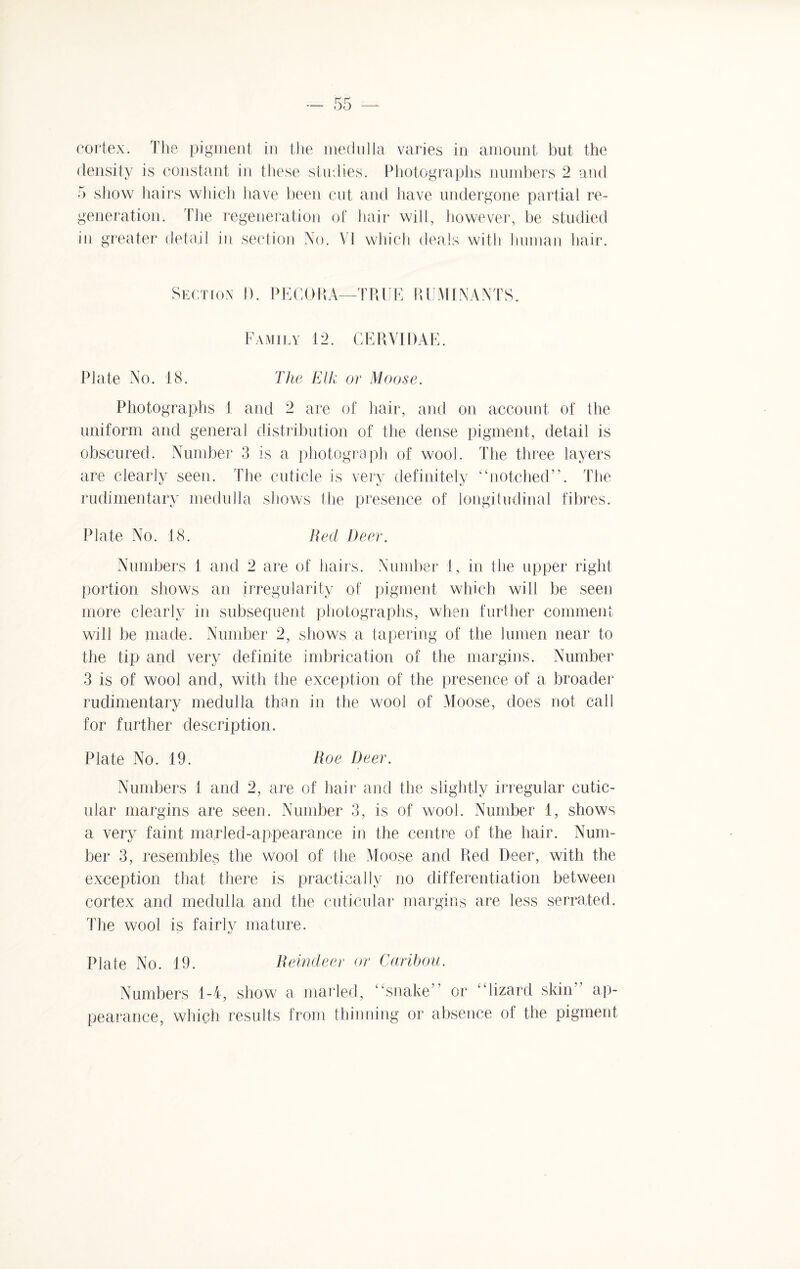 cortex. The pigment in the medulla varies in amount but the density is constant in these studies. Photographs numbers 2 and 5 show hairs which have been cut and have undergone partial re¬ generation. The regeneration of hair will, however, be studied in greater detail in section No. Vi which deals with human hair. Section I). PECO It A—TRUE RUMINANTS. Family 12. CERVIDAE. Plate No. 18. The Elk or Moose. Photographs 1 and 2 are of hair, and on account of the uniform and general distribution of the dense pigment, detail is obscured. Number 3 is a photograph of wool. The three layers are clearly seen. The cuticle is very definitely “notched”. The rudimentary medulla shows the presence of longitudinal fibres. Plate No. 18. Red l)eer. Numbers 1 and 2 are of hairs. Number 1, in the upper right portion shows an irregularity of pigment which will be seen more clearly in subsequent photographs, when further comment will be made. Number 2, shows a tapering of the lumen near to the tip and very definite imbrication of the margins. Number 3 is of wool and, with the exception of the presence of a broader rudimentary medulla than in the wool of Moose, does not call for further description. Plate No. 19. Roe Deer. Numbers i and 2, are of hair and the slightly irregular cutic- ular margins are seen. Number 3, is of wool. Number 1, shows a very faint marled-appearance in the centre of the hair. Num¬ ber 3, resembles the wool of the Moose and Red Deer, with the exception that there is practically no differentiation between cortex and medulla and the cuticular margins are less serrated. The wool is fairly mature. Plate No. 19. Reindeer or Caribou. Numbers 1-4, show a marled, “snake” or “lizard skin” ap¬ pearance, which results from thinning or absence of the pigment