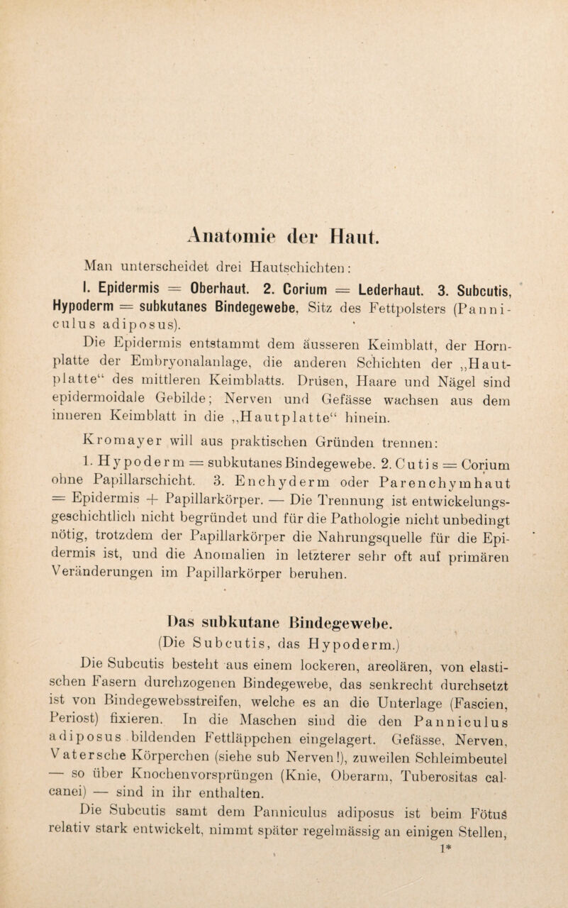 Anatomie der Haut. Man unterscheidet drei Hautschichten: I. Epidermis = Oberhaut. 2. Corium = Lederhaut. 3. Subcutis, Hypoderm = subkutanes Bindegewebe, Sitz des Fettpolsters (Panni- culus adipösus). Die Epidermis entstammt dem äusseren Keimblatt, der Horn¬ platte der Embryonalanlage, die anderen Schichten der „Haut- platte“ des mittleren Keimblatts. Drüsen, Haare und Nägel sind epidermoidale Gebilde; Nerven und Gefässe wachsen aus dem inneren Keimblatt in die „Hautplatte“ hinein. Kromayer will aus praktischen Gründen trennen: 1. Hypoderm = subkutanes Bindegewebe. 2. Cuti s = Corium ohne Papillarschicht. 3. Enchyderm oder Parenchym haut — Epidermis -f Papillarkörper. — Die Trennung ist entwickelungs¬ geschichtlich nicht begründet und für die Pathologie nicht unbedingt nötig, trotzdem der Papillarkörper die Nahrungsquelle für die Epi¬ dermis ist, und die Anomalien in letzterer sehr oft auf primären Veränderungen im Papillarkörper beruhen. Das subkutane Bindegewebe. (Die Subcutis, das Hypoderm.) Die Subcutis besteht aus einem lockeren, areolären, von elasti¬ schen h asern durchzogenen Bindegewebe, das senkrecht durchsetzt ist von Bindegewebsstreifen, welche es an die Unterlage (Fascien, Periost) fixieren. In die Maschen sind die den Panniculus adiposus bildenden Fettläppchen eingelagert. Gefässe, Nerven, Vatersche Körperchen (siehe sub Nerven!), zuweilen Schleimbeutel — so über Knochenvorsprüngen (Knie, Oberarm, Tuberositas cal- canei) — sind in ihr enthalten. Die Subcutis samt dem Panniculus adiposus ist beim FötuS relativ stark entwickelt, nimmt später regelmässig an einigen Stellen, 1*