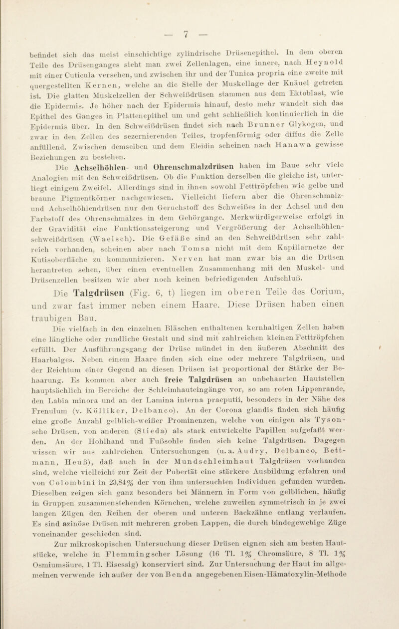 befindet sich das meist einschichtige zylindrische Drüsenepithel. In dem obeien Teile des Drüsenganges sieht man zwei Zellenlagen, eine innere, nach Hcjnold mit einer Cuticula versehen, und zwischen ihr und der Tunica propria eine zweite mit quer gestellten Kernen, welche an die Stelle der Muskel läge’ der Knäuel getieten ist. Die glatten Muskelzellen der Schweißdrüsen stammen aus dem Ektoblast, wie die Epidermis. Je höher nach der Epidermis hinauf, desto mehr wandelt sich das Epithel des Ganges in Plattenepithel um und geht schließlich kontinuierlich in die Epidermis über, ln den Schweißdrüsen findet sich nach Brunner Glykogen, und zwar in den Zellen des sezernierenden Teiles, tropfenförmig oder diffus die Zelle anfüllend. Zwischen demselben und dem Eleidin scheinen nach Hanawa gewisse Beziehungen zu bestehen. Die Achselhöhlen- und Ohrenschmalzdrüsen haben im Baue sehr viele Analogien mit den Schweißdrüsen. Ob die Funktion derselben die gleiche ist, unter¬ ließt einigem Zweifel. Allerdings sind in ihnen sowohl Fetttröpfchen wie gelbe und braune Pigmentkörner nachgewiesen. Vielleicht liefern aber die Ohrenschmalz- und Achselhöhlendrüsen nur den Geruchstoff des Schweißes in der Achsel und den Farbstoff des Ohrenschmalzes in dem Gehörgange. Merkwürdigerweise erfolgt in der Gravidität eine Funktionssteigerung und Vergrößerung der Achselhöhlen¬ schweißdrüsen (Waelsch). Die Gefäße sind an den Schweißdrüsen sehr zahl¬ reich vorhanden, scheinen aber nach Tomsa nicht mit dem Kapillarnetze der Kutisoberfläche zu kommunizieren. Nerven hat man zwar bis an die Drüsen herantreten sehen, über einen eventuellen Zusammenhang mit den Muskel- und Drüsenzellen besitzen wir aber noch keinen befriedigenden Aufschluß. Die Talgdrüsen (Fig. 6, t) liegen im oberen Teile des Corinm, und zwar fast immer neben einem Haare. Diese Drüsen haben einen traubigen Bau. Die vielfach in den einzelnen Bläschen enthaltenen kernhaltigen Zellen haben eine längliche oder rundliche Gestalt und sind mit zahlreichen kleinen Fetttröpfchen erfüllt. Der Ausführungsgang der Drüse mündet in den äußeren Abschnitt des Haarbalges. Neben einem Haare finden sich eine oder mehrere Talgdrüsen, und der Reichtum einer Gegend an diesen Drüsen ist proportional der Stärke der Be¬ haarung. Es kommen aber auch freie Talgdrüsen an unbehaarten Hautstellen hauptsächlich im Bereiche der Schleimhauteingänge vor, so am roten Lippenrande, den Labia minora und an der Lamina interna praeputii, besonders in der Nähe des Frenulum (v. Kölliker, Delbanco). An der Corona glandis finden sich häufig eine große Anzahl gelblich-weißer Prominenzen, welche von einigen als Tyson- sche Drüsen, von anderen (Stieda) als stark entwickelte Papillen aufgefaßt wer¬ den. An der Hohlhand und Fußsohle finden sich keine Talgdrüsen. Dagegen Avissen wrir aus zahlreichen Untersuchungen (u. a. Audry, Delbanco, Bett¬ mann, Heuß), daß auch in der Mundschleimhaut Talgdrüsen vorhanden sind, welche vielleicht zur Zeit der Pubertät eine stärkere Ausbildung erfahren und von Colombini in 23,84% der von ihm untersuchten Individuen gefunden Avurden. Dieselben zeigen sich ganz besonders bei Männern in Form von gelblichen, häufig in Gruppen zusammenstehenden Körnchen, welche zuweilen symmetrisch in je zwei langen Zügen den Reihen der oberen und unteren Backzähne entlang verlaufen. Es sind azinöse Drüsen mit mehreren groben Lappen, die durch bindegewebige Züge voneinander geschieden sind. Zur mikroskopischen Untersuchung dieser Drüsen eignen sich am besten Haut¬ stücke, aveiche in Fl emmingscher Lösung (16 TL 1% Chromsäure, 8 TL 1% Osmiumsäure, 1 TL Eisessig) konserviert sind. Zur Untersuchung der Haut im allge¬ meinen verwende ich außer der von B en d a angegebenen Eisen-Hämatoxylin-Methode