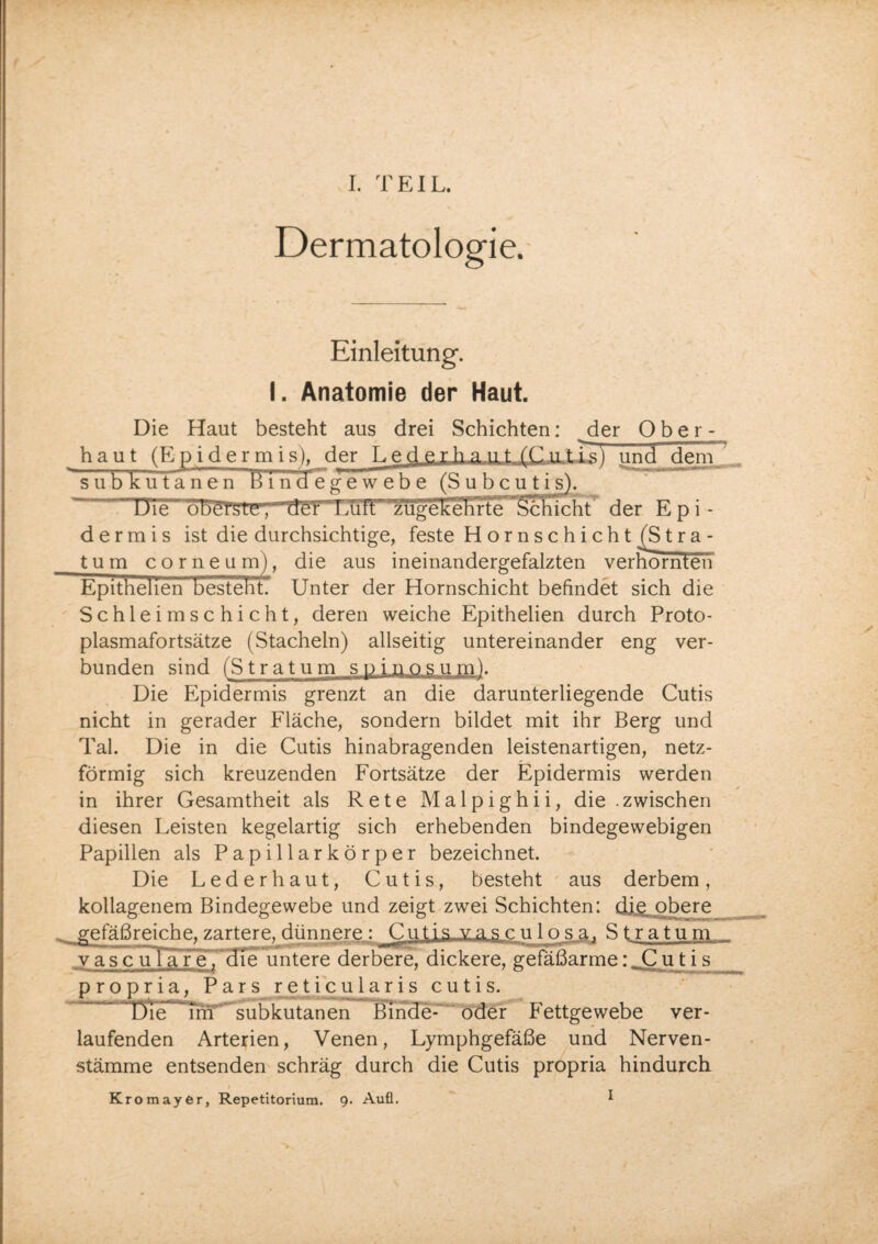 Dermatologie. Einleitung. I. Anatomie der Haut. Die Haut besteht aus drei Schichten: der Ober¬ haut (E p i d e r m i s), der D e d e r h a n t (C ii/llsl und dem7., subkutanen bind eg ewebe (Subcutis). ~ Die ubtUSte', del LOT zugekehrFe Schacht der Epi¬ dermis ist die durchsichtige, feste H o r n s c h i c h t £S t r a- tum corneum), die aus ineinandergefalzten verhornten Epithelien bestellt? Unter der Hornschicht befindet sich die Schleimschicht, deren weiche Epithelien durch Proto¬ plasmafortsätze (Stacheln) allseitig untereinander eng ver¬ bunden sind (Stratum spinös um). Die Epidermis grenzt an die darunterliegende Cutis nicht in gerader Fläche, sondern bildet mit ihr Berg und Tal. Die in die Cutis hinabragenden leistenartigen, netz¬ förmig sich kreuzenden Fortsätze der Epidermis werden in ihrer Gesamtheit als Rete Malpighii, die zwischen diesen Leisten kegelartig sich erhebenden bindegewebigen Papillen als Papillarkörper bezeichnet. Die Leder haut, Cutis, besteht aus derbem, kollagenem Bindegewebe und zeigt zwei Schichten: dig obere gefäßreiche, zartere, dünnere : jCutis. vas culosa, S t. r a tu m vasculare, die untere derbere, dickere, gefäßarme: Cu t i s propria, Pars reticularis cutis. Die im subkutanen Binde- oder Fettgewebe ver¬ laufenden Arterien, Venen, Lymphgefäße und Nerven- stämme entsenden schräg durch die Cutis propria hindurch Kromayer, Repetitorium. 9. Aufl. I