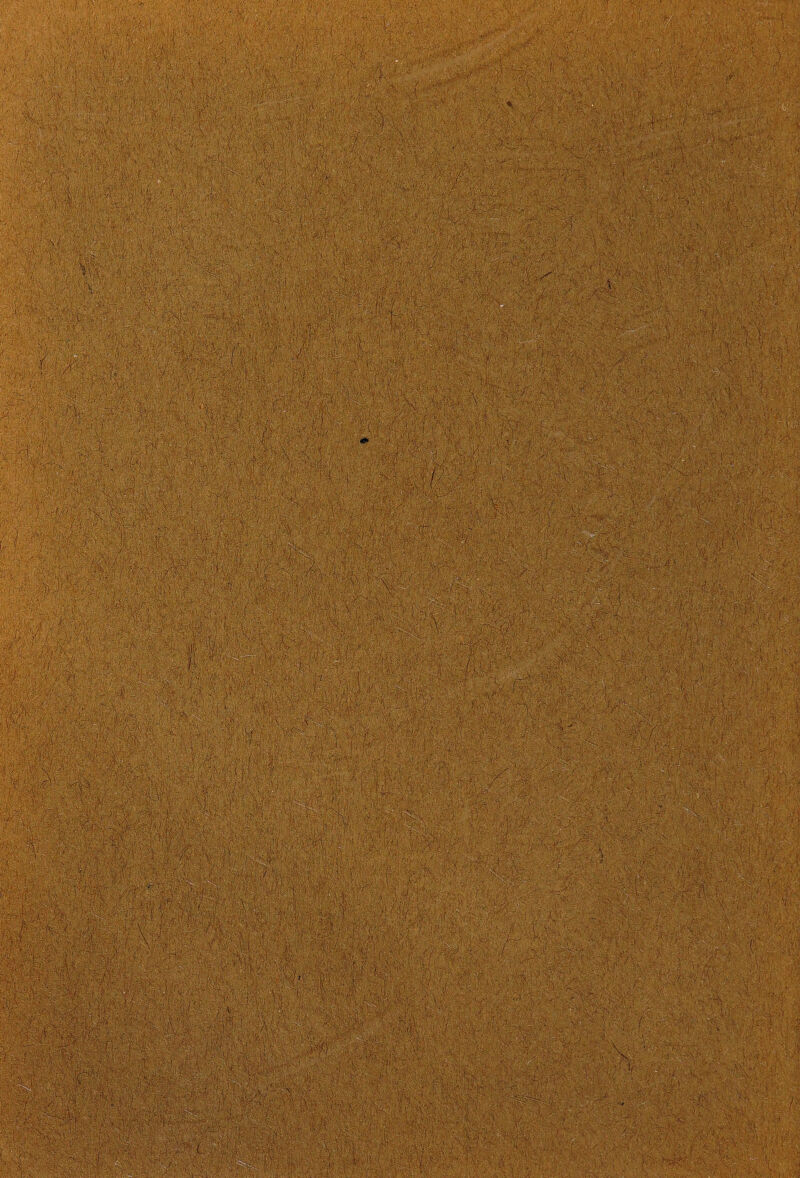 ■ frllft f' wß-T''lil v.',^.,?;•'■ ■ 2 rM «HgPfftS W- ';'>: -WWlWl. if#j ■:1k-. ■ / ■ -> '••• >. ;-4 AV Af f; 1 •» Äfff f f ' ■ fffffff 4 ' A *, A f > £ 4 ■ m$$ i Al ;.;v. - ..l-$'*%■* : . 1-:. f < i : ./■.•■. : f -Afff ..-ff ' : . ■Vl li M 1 lf£l ; , -A; 4f.l-lf A fl i ,■ ff 1 44 ■ ' . i 4 - a '•* v . '■ \ 4 mäk:sm> ’ksm /fff %m 4,» .■: . -llf- .Alr-' •.V.V.A.' .',.f 4*.’ .... • .1 %S\•• >. VV-vll.-A- H ■V- f 4444$,' S i* . ,. , m ' ■. A . ifi ■.; \m Mmß: ■ AfffAfA . -AfA ■ ' ... '* A:'Alfff#f®i • i. . ' - ' Ä A '■ Av: A,lvi r'lvVf . ■: 1- ' At ■!: 1 f ■' f!l A;f >V Ä1 1 , AaA I'IAAa',.. A; f ', ■< - ,<-i .1; a \: l-aii ( ' :a A i‘ ■ n ' : . » f t mcM rn ff: H.lA-f - f • % -ffflfiAr m : A f Av- s AArAilfA^.,;TflfrfA-r::A,A'.vA=u . . _ ijf : •'• Aff ' • f '.V,- . •/ . .y.i -' • /•;. r .A-wf A - • . - ff ? - f :. 1 ' • . , •'; - • ■ rf '■ ?>. '-A'.-a; .... .- v • - ■ ^ - A;flSAif:S,feftArf 11 mi m Af'A'V. f 'S.ä. A4 ■ ■:'.(? .. A ;A'f A :fA :■ A'.-'A,' ~'Ar.' . •>• ■•ff.; f f a. f. f a:; iffH ;|f- f fffrf SS i AfflffAA»A;fifA:f:fAf;AAAff,fA:ff:V ff Afff '..A.f.V,AA flf fffl AfA fff :ff ^-ff- A :■■' ' i f ' A.' Af-f'^fA ';l:4fA'AA AA-. ; Af.'fV :l| SASAsä Aff fllSi ' fll:IlÄS ? ■: 4 Wfe V: ■■■■/•, AA'rAA -f f i * f,:l;ilä4S'v fvffjfff ■ ■ llfl fei v li a /iv- t1.-v ;• .bfifi;. .f; ■Vfnf ■ • ff .Hff Aff 1; AA ■'■ ;/:f. ; _ ■; :%AAf 1 AffAv ■'■■■■• -.;:f:A; ■ ' A. ■’ ■ '; / ;x : , ' A.'Ä A;,: Affi f,A',A'f A^\VA ;!fj: 1Aff,\f ■J-Af'lA!-A'fVf '■ M:\MaA V. Af Alf f f :■ f f / A. . 'f f;; ' A;,,: ;;>f - A f K :ff:r' A-v A fff- 'Alf -Aff Af. A /. f ,-1 :lr fN Af.v Aj-t f; -f; A_ . . ■ -ff' A V- AAAAA.-A r / ';- ,rf&AA. AfAAlf'Sl/Af|AffM« / • f-. ‘ ;i+* r.fVfl :V,v' A f ff -m 5; f> f A: ! AA-ff; AA:-J ' . f flf -.;^ f A ■' AA f fAf:.«:;i , •}« 'W*f : : rr, > A-ä fXrAAA'a-./i-AA:' Af l V ' r ' ■ J-: A . ■.'■■■■.■ ''•■ Jf: ■ ' A . ■ . - : !■ AV- f A-A . 'A,AAA'.,”f»f; /“ff .-/If- 1 -1 i.A, ffAfffl'A-r:ff'/A-ÄfAvA.rA.rffrAf' r/lfffiylllv;f. ff WHmM\ V iV-hl'AAil’d 4f , . -‘-a a .'fl '>. >'> „,Ä«J ’! . f fi@f i'V. '| IM 'f'A ■ ff/i' .f.'- ■ ■' , i:A • f .ll,i^ 1'1-v HiAvilrf ff-Af Ai,VAI!■/>;: .^^4/ <1.,.v.-vf. f- v 1 '■ ji<' 11 V^AVÖäl AAAvf;iA-4;.,, A pp A ilÄPIfSflli IJr ; 'ff f f AA/tf A . AA: :W . ; :V ;■ m : , . , A : ' : f ' A . A: . ■■ ??:•*? : ' AA -f-.rff a/.a' - .A . ff- A.AAA. Arl.ffArf ff.-vA ' ■ ' ' ;a .AA r:r'A'-'-A. V, ff . . plmiwi M. f f f. f _ fffWIf'l'-Iff^ 'Jv \ f ' f f isfii ■f: .; - ' /;::A|.:ffrft: f.>& ■' _ |* -'...f 1! ■ ■ . ‘ ■ f fffff:l A: f A: - 4 ? * ' ■ . m - ' A a f ■■ ■ '■ .;Vf . ‘ ', .•. . . -'r-:: f ..Ai ■ ■ ■-■ A f , . ', i AAaaA A-'A A-AA'' A- A f/f f■'• a f . ' \ A ' , ' ' A mmmmm 11 ■ ;yv. -v-> *^.y ■ W'- f-A-fr.<: r f; a': 1 ^ i ■ f : I „ , rf-AAf-f/l/ff,.- a- m 1 If r • ■ , i.m mMs>sw-, äm?-. lAif'-lf aH-Haä’ Aä-f-Ay: ->Af .,- .-- ,.. fV Af-A'vf' 'Af'f f ä ;ÄJ'f < A-.A- ...aryÄ- l!'f ff:'-/'!-1:1 f'l ■ f ;;ffV i-'fll fll.f-AAl:: ff i-ff: r- -V • A . I ' ' ’ f ' ■ ' :'AAAA.-frASrrfAiA/:?Ä;lÄAr-.lr/lf jAAJ.ffrA'fjAA; A;--;'.^ ‘ m 3» - A V ■ . 'I ;f ■ vü’i VA ülll KftiSflVA ' «Kr -A.'ff f.-AAV.!.'-- AA' :i':-;.f;^VA;'l-' f: -•- 1 ' Af AA f l-A-'-A-i Airr-f -‘ A . Will >4 ;; f• •••■ .1 *;•«••. /;«c-V ; </• f»li V- ,