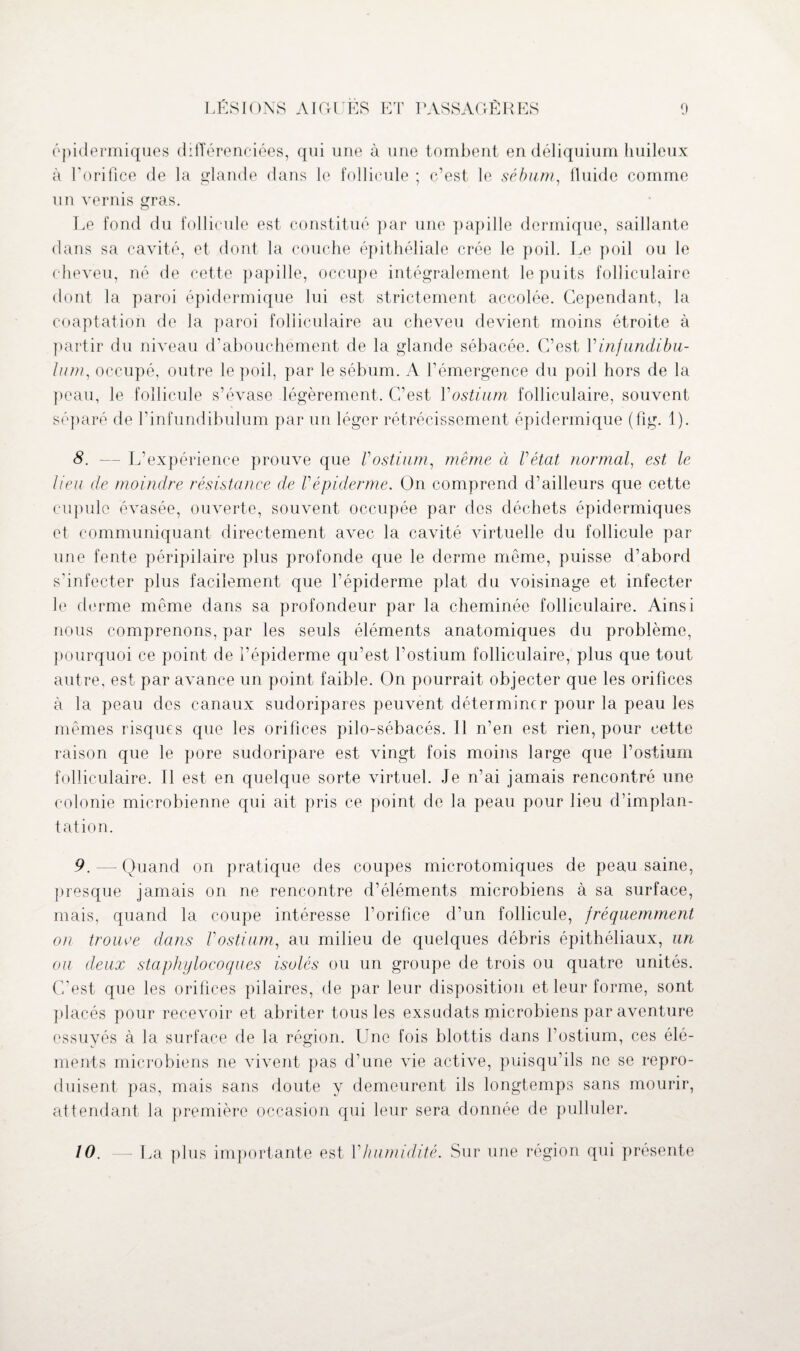 épidermiques différenciées, qui une à une tombent en déliquium huileux à l’orifice de la glande dans le follicule ; c’est le sébum, fluide comme un vernis gras. Le fond du follicule est constitué par une papille dermique, saillante dans sa cavité, et dont la couche épithéliale crée le poil. Le poil ou le cheveu, né de cette papille, occupe intégralement le puits folliculaire dont la paroi épidermique lui est strictement accolée. Cependant, la coaptation de la paroi folliculaire au cheveu devient moins étroite à partir du niveau d’abouchement de la glande sébacée. C’est Vinfundibu- lum, occupé, outre le poil, par le sébum. A l’émergence du poil hors de la peau, le follicule s’évase légèrement. C’est Y ostium folliculaire, souvent séparé de l’infundibulum par un léger rétrécissement épidermique (fig. 1). 8. — L’expérience prouve que Vostium, même a Vëtat normal, est le lieu de moindre résistance de Vépiderme. On comprend d’ailleurs que cette cupule évasée, ouverte, souvent occupée par des déchets épidermiques et communiquant directement avec la cavité virtuelle du follicule par une fente péripilaire plus profonde que le derme même, puisse d’abord s'infecter plus facilement que l’épiderme plat du voisinage et infecter le derme même dans sa profondeur par la cheminée folliculaire. Ainsi nous comprenons, par les seuls éléments anatomiques du problème, pourquoi ce point de l’épiderme qu’est l’ostium folliculaire, plus que tout autre, est par avance un point faible. On pourrait objecter que les orifices à la peau des canaux sudoripares peuvent déterminer pour la peau les mêmes risques que les orifices pilo-sébacés. Il n’en est rien, pour cette raison que le pore sudoripare est vingt fois moins large que l’ostium folliculaire. Il est en quelque sorte virtuel. Je n’ai jamais rencontré une colonie microbienne qui ait pris ce point de la peau pour lieu d’implan¬ tation. 9. — Quand on pratique des coupes microtomiques de peau saine, presque jamais on ne rencontre d’éléments microbiens à sa surface, mais, quand la coupe intéresse l’orifice d’un follicule, fréquemment on trouve dans Vostium, au milieu de quelques débris épithéliaux, un ou deux staphylocoques isolés ou un groupe de trois ou quatre unités. C'est que les orifices pilaires, de par leur disposition et leur forme, sont placés pour recevoir et abriter tous les exsudats microbiens par aventure essuyés à la surface de la région. Une fois blottis dans l’ostium, ces élé¬ ments microbiens ne vivent pas d’une vie active, puisqu’ils ne se repro¬ duisent pas, mais sans doute y demeurent ils longtemps sans mourir, attendant la première occasion qui leur sera donnée de pulluler. La plus importante est Vhumidité. Sur une région qui présente 10.