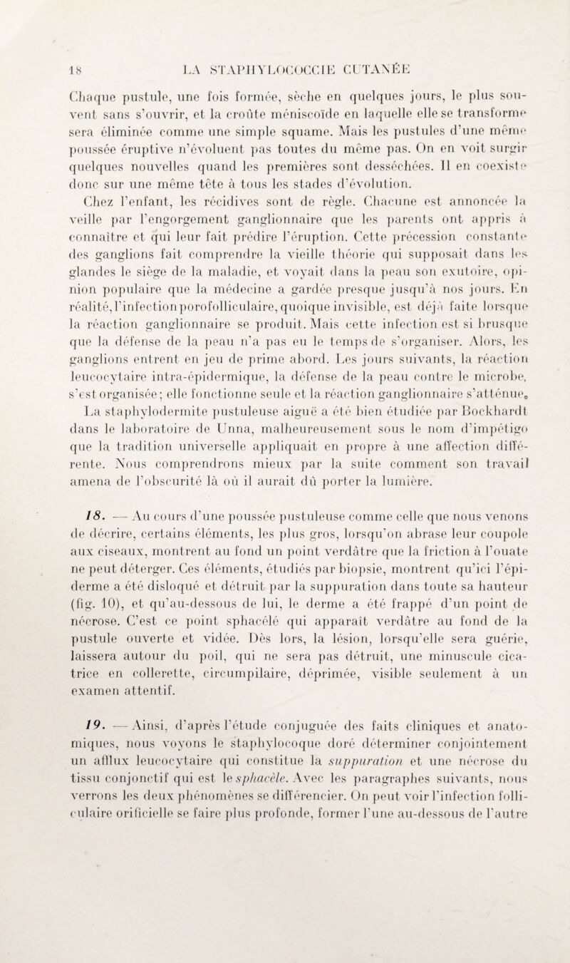 Chaque pustule, une fois formée, sèche en quelques jours, le plus sou¬ vent sans s’ouvrir, et la croûte méniscoïde en laquelle elle se transforme sera éliminée comme une simple squame. Mais les pustules d’une même poussée éruptive n’évoluent pas toutes du même pas. On en voit surgir quelques nouvelles quand les premières sont desséchées. 11 en coexiste donc sur une même tête à tous les stades d’évolution. Chez l’enfant, les récidives sont de règle. Chacune est annoncée la veille par l’engorgement ganglionnaire que les parents ont appris à connaître et qui leur fait prédire l’éruption. Cette précession constante des ganglions fait comprendre la vieille théorie qui supposait dans les glandes le siège de la maladie, et voyait dans la peau son exutoire, opi¬ nion populaire que la médecine a gardée presque jusqu’à nos jours. En réalité,l’infectionporofolliculaire, quoique invisible, est déjà faite lorsque la réaction ganglionnaire se produit. Mais cette infection est si brusque que la défense de la peau n’a pas eu le temps de s’organiser. Alors, les ganglions entrent en jeu de prime abord. Les jours suivants, la réaction leucocytaire intra-épidermique, la défense de la peau contre le microbe, s’est organisée; elle fonctionne seule et la réaction ganglionnaire s’atténuee La staphylodermite pustuleuse aiguë a été bien étudiée par Bockhardt dans le laboratoire de Unna, malheureusement sous le nom d’impétigo que la tradition universelle appliquait en propre à une affection diffé¬ rente. Nous comprendrons mieux par la suite comment son travail amena de l’obscurité là où il aurait dû porter la lumière. 18. — Au cours d’üne poussée pustuleuse comme celle que nous venons de décrire, certains éléments, les plus gros, lorsqu’on abrase leur coupole aux ciseaux, montrent au fond un point verdâtre que la friction à l’ouate ne peut déterger. Ces éléments, étudiés par biopsie, montrent qu’ici l’épi¬ derme a été disloqué et détruit par la suppuration dans toute sa hauteur (fig. 10), et qu’au-dessous de lui, le derme a été frappé d’un point de nécrose. C’est ce point sphacélé qui apparaît verdâtre au fond de la pustule ouverte et vidée. Dès lors, la lésion, lorsqu’elle sera guérie, laissera autour du poil, qui ne sera pas détruit, une minuscule cica¬ trice en collerette, circumpilaire, déprimée, visible seulement à un examen attentif. 19. —Ainsi, d’après l’étude conjuguée des faits cliniques et anato¬ miques, nous voyons le staphylocoque doré déterminer conjointement un afflux leucocytaire qui constitue la suppuration et une nécrose du tissu conjonctif qui est le sphacèle. Avec les paragraphes suivants, nous verrons les deux phénomènes se différencier. On peut voir l’infection folli¬ culaire orificielle se faire plus profonde, former l’une au-dessous de l’autre