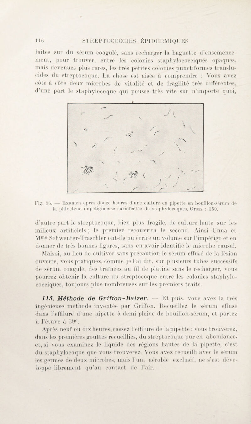 faites sur du sérum coagulé, sans recharger la baguette d’ensemence¬ ment, pour trouver, entre les colonies staphylococciques opaques, mais devenues plus rares, les très petites colonies punctiformes translu¬ cides du streptocoque. La chose est aisée à. comprendre : Vous avez côte à côte deux microbes de vitalité et de fragilité très différentes, d’une part le staphylocoque qui pousse très vite sur n’importe quoi, Fig. 96. -—■ Examen après douze heures d'une culture en pipette en bouillon-sérum de la phlyctène impétigineuse surinfectée de staphylocoques. Gross. : 350. d’autre part le streptocoque, bien plus fragile, de culture lente sur les milieux artificiels ; le premier recouvrira le second. Ainsi Unna et Mme Schwenter-Traschler ont-ils pu écrire un volume sur l’impétigo et en donner de très bonnes figures, sans en avoir identifié le microbe causal. Mais si. au lieu de cultiver sans précaution le sérum effusé de la lésion ouverte, vous pratiquez, comme je l'ai dit, sur plusieurs tubes successifs de sérum coagulé, des traînées au fil de platine sans le recharger, vous pourrez obtenir la culture du streptocoque entre les colonies staphylo¬ cocciques, toujours plus nombreuses sur les premiers traits. 115. Méthode de Griffon-Balzer. —- Et puis, vous avez la très ingénieuse méthode inventée par Griffon. Recueillez le sérum effusé dans l’efïilure d’une pipette à demi pleine de bouillon-sérum, et portez à l’étuve à 39°. Après neuf ou dix heures, cassez l’effilure de la pipette : vous trouverez, dans les premières gouttes recueillies, du streptocoque pur en abondance, et, si vous examinez le liquide des régions hautes de la pipette, c'est du staphylocoque que vous trouverez. Vous avez recueilli avec le sérum les serines de deux microbes, mais l’un, aérobie exclusif, ne s’est (lève- lop pé librement qu’au contact de l’air.