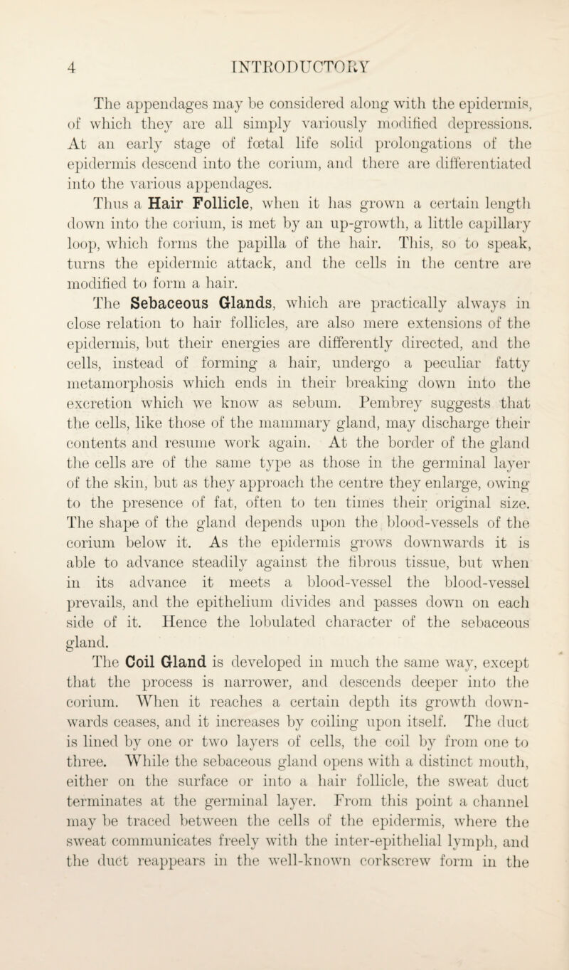 The appendages may be considered along with the epidermis, of which they are all simply variously modified depressions. At an early stage of foetal life solid prolongations of the epidermis descend into the coriurn, and there are differentiated into the various appendages. Thus a Hair Follicle, when it has grown a certain length down into the coriurn, is met by an up-growth, a little capillary loop, which forms the papilla of the hair. This, so to speak, turns the epidermic attack, and the cells in the centre are modified to form a hair. The Sebaceous Glands, which are practically always in close relation to hair follicles, are also mere extensions of the epidermis, but their energies are differently directed, and the cells, instead of forming a hair, undergo a peculiar fatty metamorphosis which ends in their breaking down into the excretion which we know as sebum. Pembrey suggests that the cells, like those of the mammary gland, may discharge their contents and resume work again. At the border of the gland the cells are of the same type as those in the germinal layer of the skin, but as they approach the centre they enlarge, owing to the presence of fat, often to ten times their original size. The shape of the gland depends upon the blood-vessels of the coriurn below it. As the epidermis grows downwards it is able to advance steadily against the fibrous tissue, but when in its advance it meets a blood-vessel the blood-vessel prevails, and the epithelium divides and passes down on eacli side of it. Hence the lobulated character of the sebaceous gland. The Coil Gland is developed in much the same way, except that the process is narrower, and descends deeper into the coriurn. When it reaches a certain depth its growth down¬ wards ceases, and it increases by coiling upon itself. The duct is lined by one or two layers of cells, the coil by from one to three. While the sebaceous gland opens with a distinct mouth, either on the surface or into a hair follicle, the sweat duct terminates at the germinal layer. From this point a channel may be traced between the cells of the epidermis, where the sweat communicates freely with the inter-epithelial lymph, and the duct reappears in the well-known corkscrew form in the