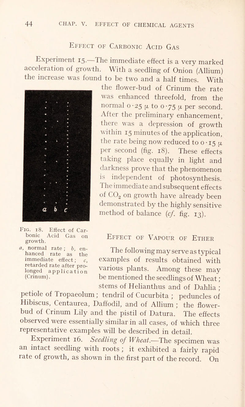 Effect of Carbonic Acid Gas Experiment 15.—The immediate effect is a very marked acceleration of growth. With a seedling of Onion (Allium) the increase was found to be two and a half times. With the flower-bud of Crinum the rate was enhanced threefold, from the normal 0-25 g to 0-75 a per second. After the preliminary enhancement, there was a depression of growth within 15 minutes of the application, the rate being now reduced to 0 • 15 a per second (fig. 18). These effects taking place equally in light and darkness prove that the phenomenon is independent of photosynthesis. The immediate and subsequent effects of C02 on growth have already been demonstrated by the highly sensitive method of balance (cf. fig. 13). Fig. 18. Effect of Car- bonic Acid Gas on growth. Effect of Vapour of Ether a, normal rate ; b, en- hanced rate as the immediate effect; c, retarded rate after pro- longed application (Crinum). The following may serve as typical examples of results obtained with various plants. Among these may be mentioned the seedlings of Wheat; stems of Helianthus and of Dahlia ; petiole of Tropaeolum; tendril of Cucurbit a ; peduncles of Hibiscus, Centaurea, Daffodil, and of Allium ; the flower- bud of Crinum Lily and the pistil of Datura. The effects observed were essentially similar in all cases, of which three representative examples will be described in detail. Experiment 16. Seedling of Wheat.—The specimen was an intact seedling with roots * it exhibited a fairly rapid rate of growth, as shown in the first part of the record. On