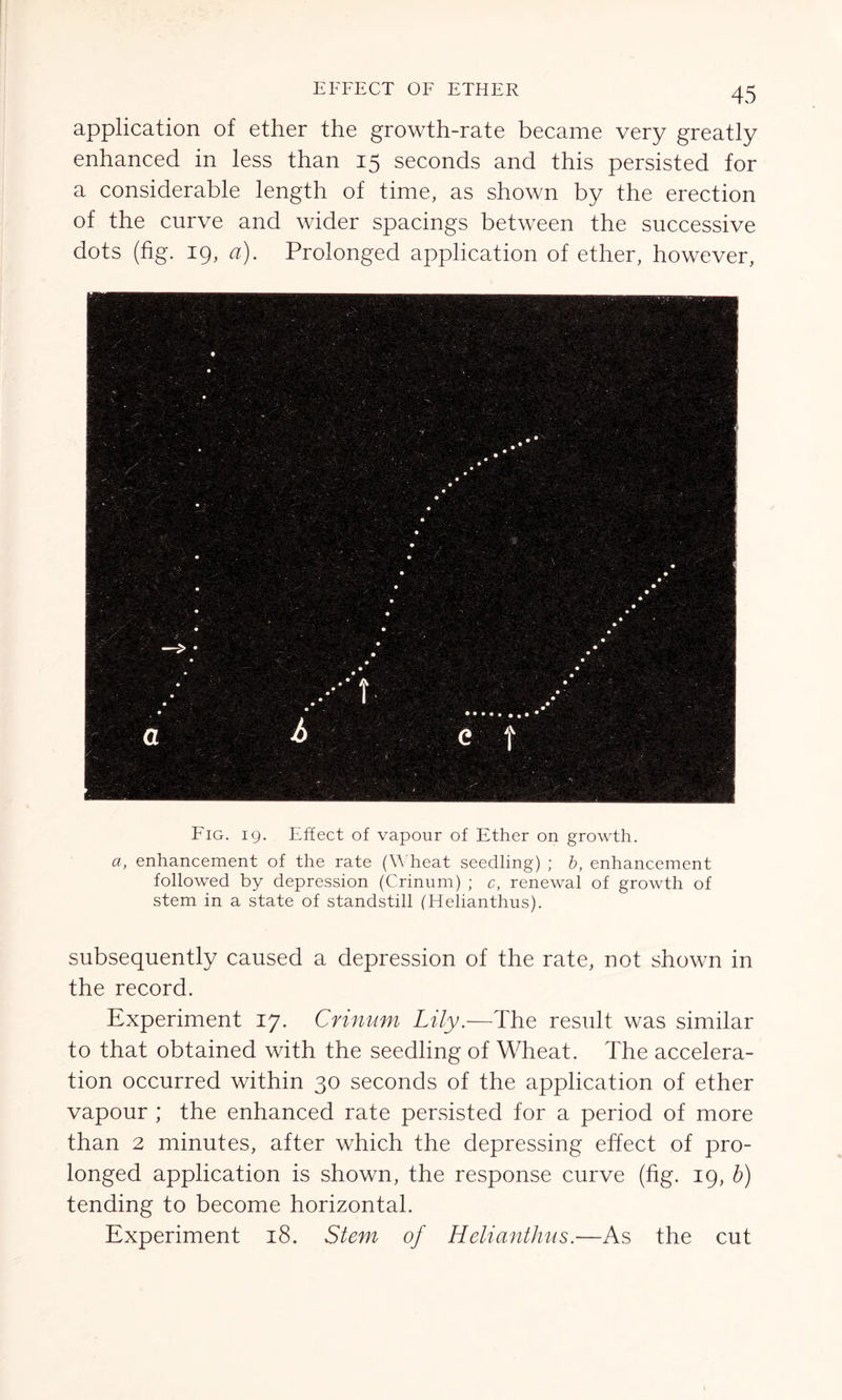 EFFECT OF ETHER application of ether the growth-rate became very greatly enhanced in less than 15 seconds and this persisted for a considerable length of time, as shown by the erection of the curve and wider spacings between the successive dots (fig. 19, a). Prolonged application of ether, however, Fig. 19. Effect of vapour of Ether on growth. a, enhancement of the rate (Wheat seedling) ; b, enhancement followed by depression (Crinum) ; c, renewal of growth of stem in a state of standstill (Helianthus). subsequently caused a depression of the rate, not shown in the record. Experiment 17. Crinum Lily.—The result was similar to that obtained with the seedling of Wheat. The accelera- tion occurred within 30 seconds of the application of ether vapour ; the enhanced rate persisted for a period of more than 2 minutes, after which the depressing effect of pro- longed application is shown, the response curve (fig. 19, b) tending to become horizontal. Experiment 18. Stem of Helianthus.—As the cut